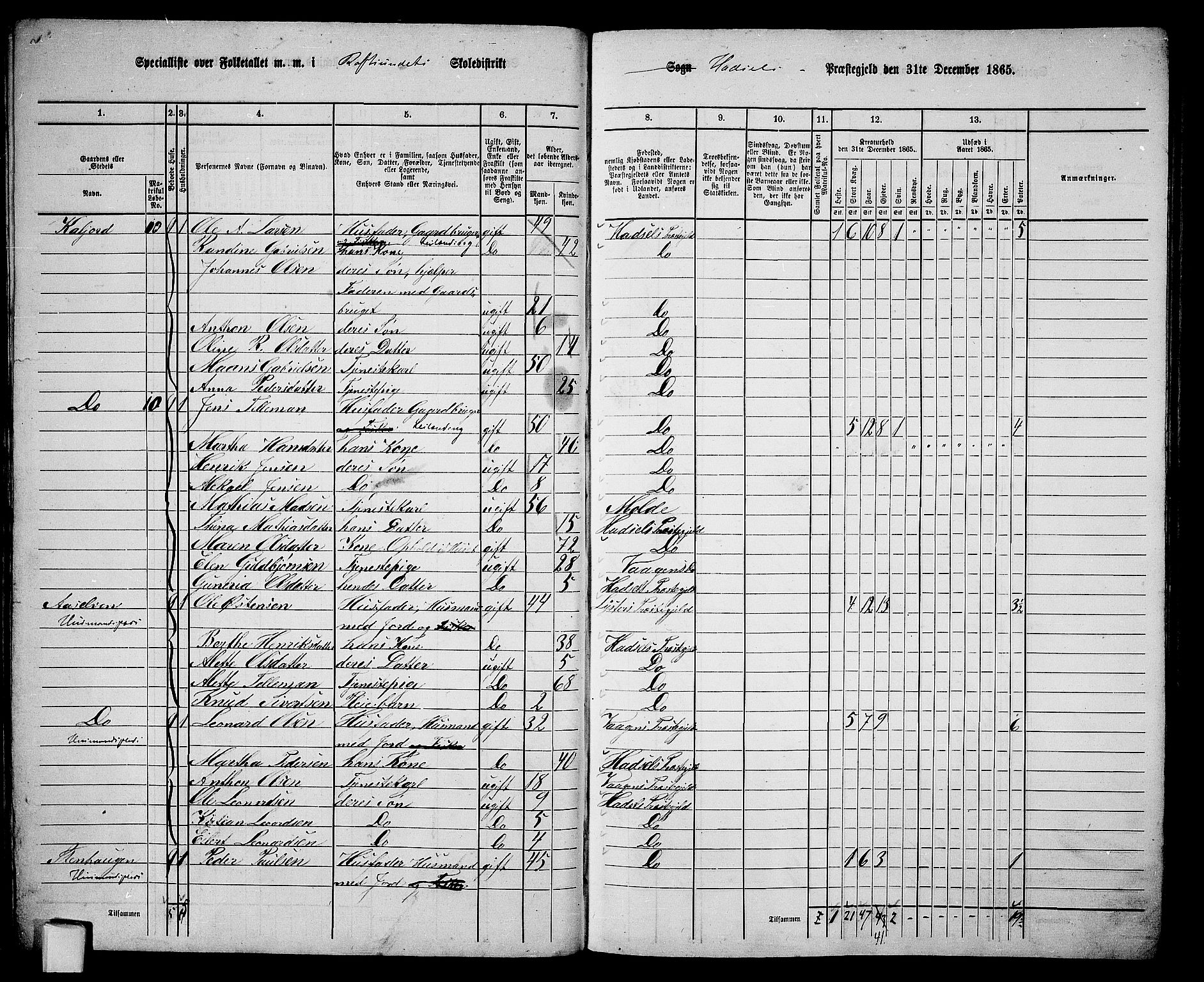 RA, 1865 census for Hadsel, 1865, p. 39