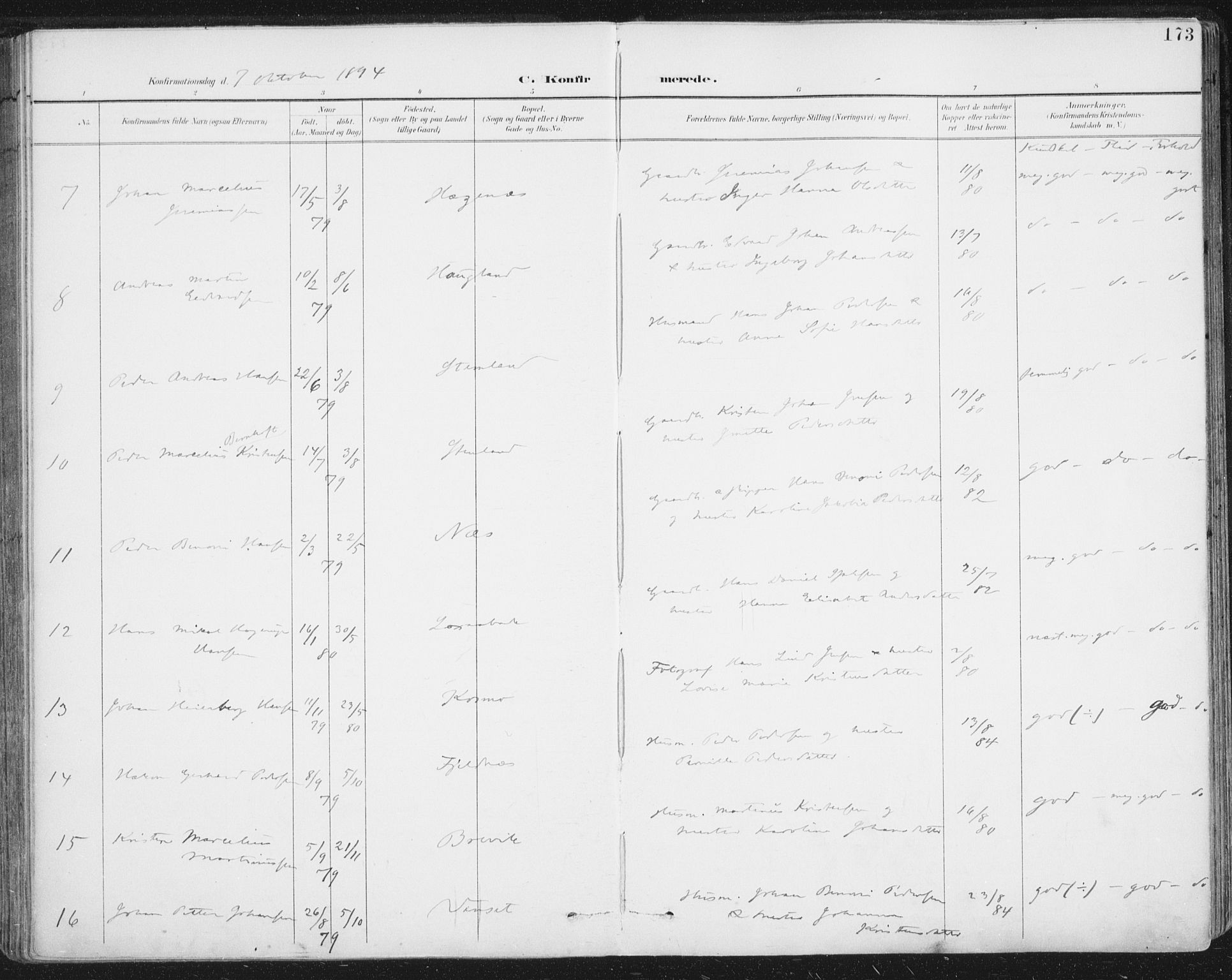 Ministerialprotokoller, klokkerbøker og fødselsregistre - Nordland, AV/SAT-A-1459/852/L0741: Parish register (official) no. 852A11, 1894-1917, p. 173