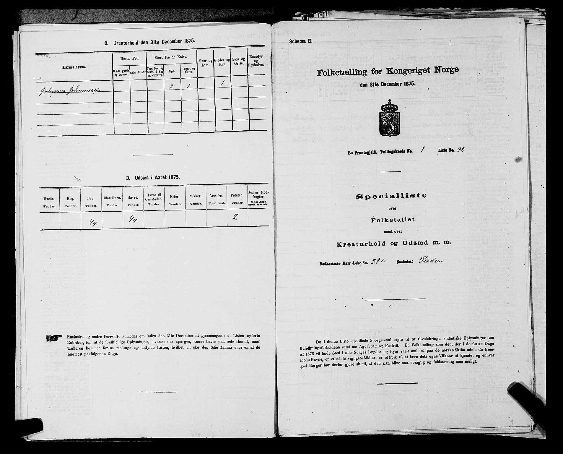 SAKO, 1875 census for 0821P Bø, 1875, p. 116