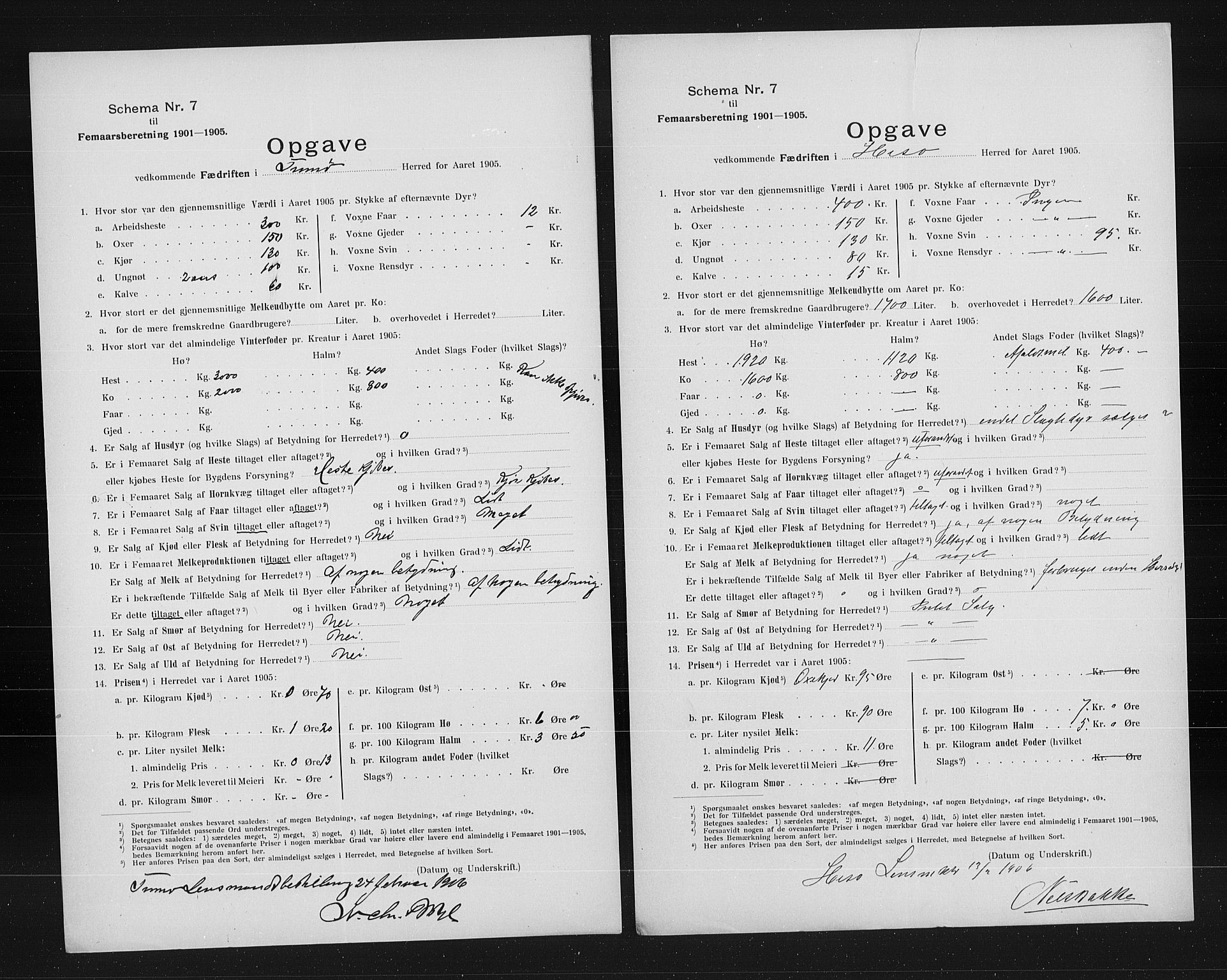 Statistisk sentralbyrå, Næringsøkonomiske emner, Generelt - Amtmennenes femårsberetninger, AV/RA-S-2233/F/Fa/L0099: --, 1905, p. 7