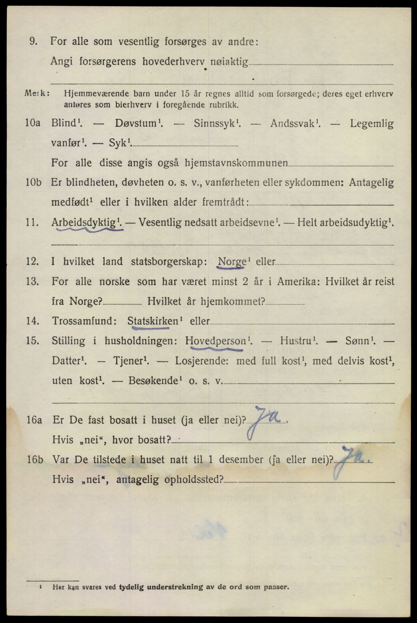 SAO, 1920 census for Nes, 1920, p. 8893