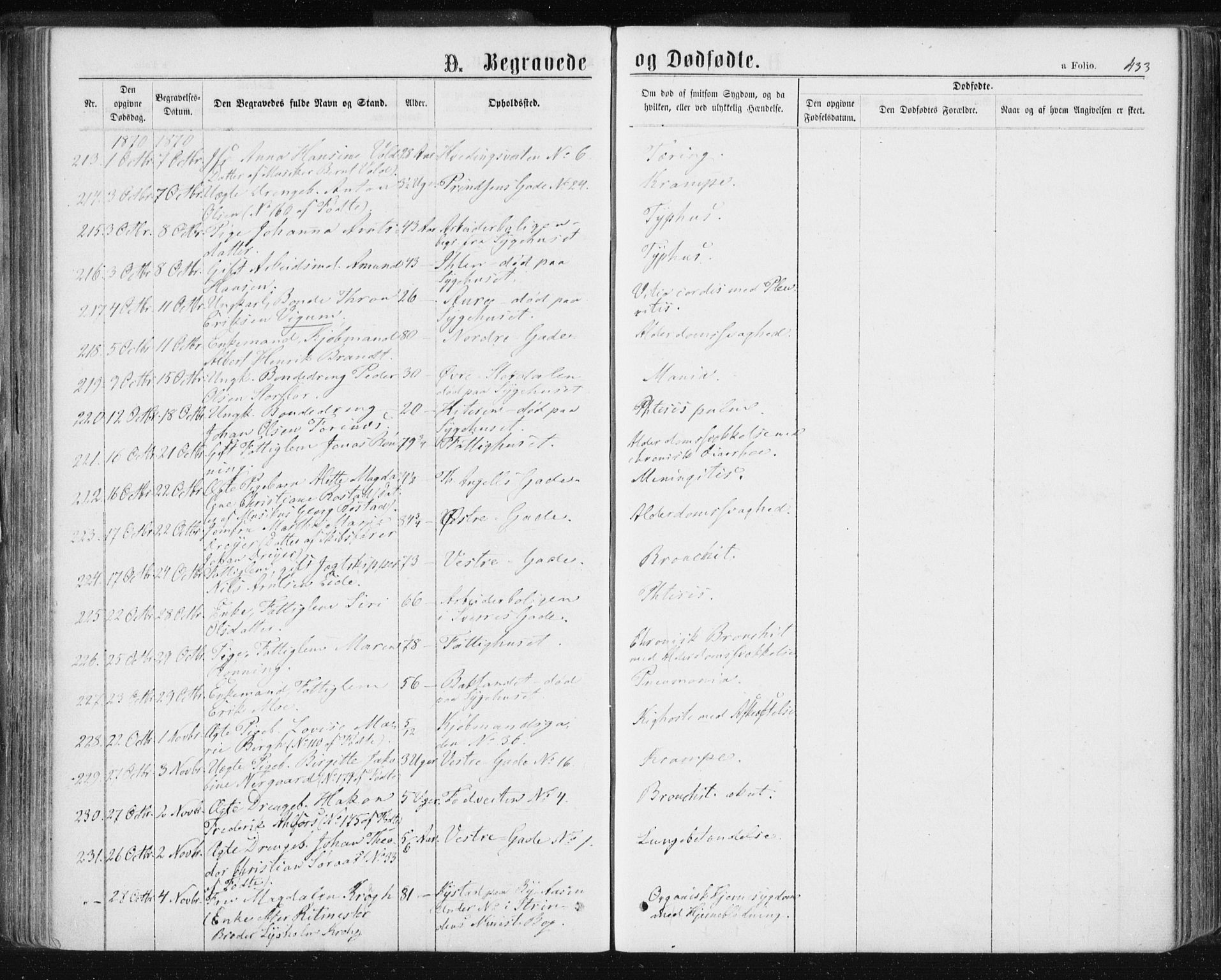 Ministerialprotokoller, klokkerbøker og fødselsregistre - Sør-Trøndelag, AV/SAT-A-1456/601/L0055: Parish register (official) no. 601A23, 1866-1877, p. 433