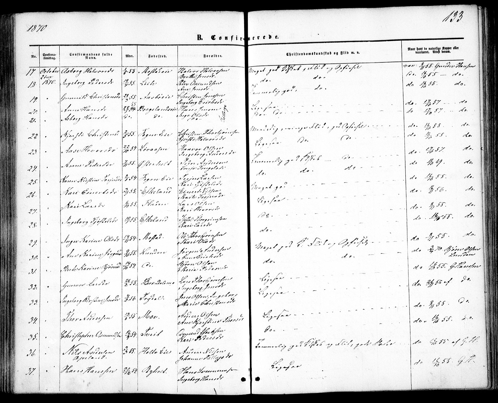 Gjerstad sokneprestkontor, AV/SAK-1111-0014/F/Fa/Faa/L0007: Parish register (official) no. A 7, 1858-1875, p. 133