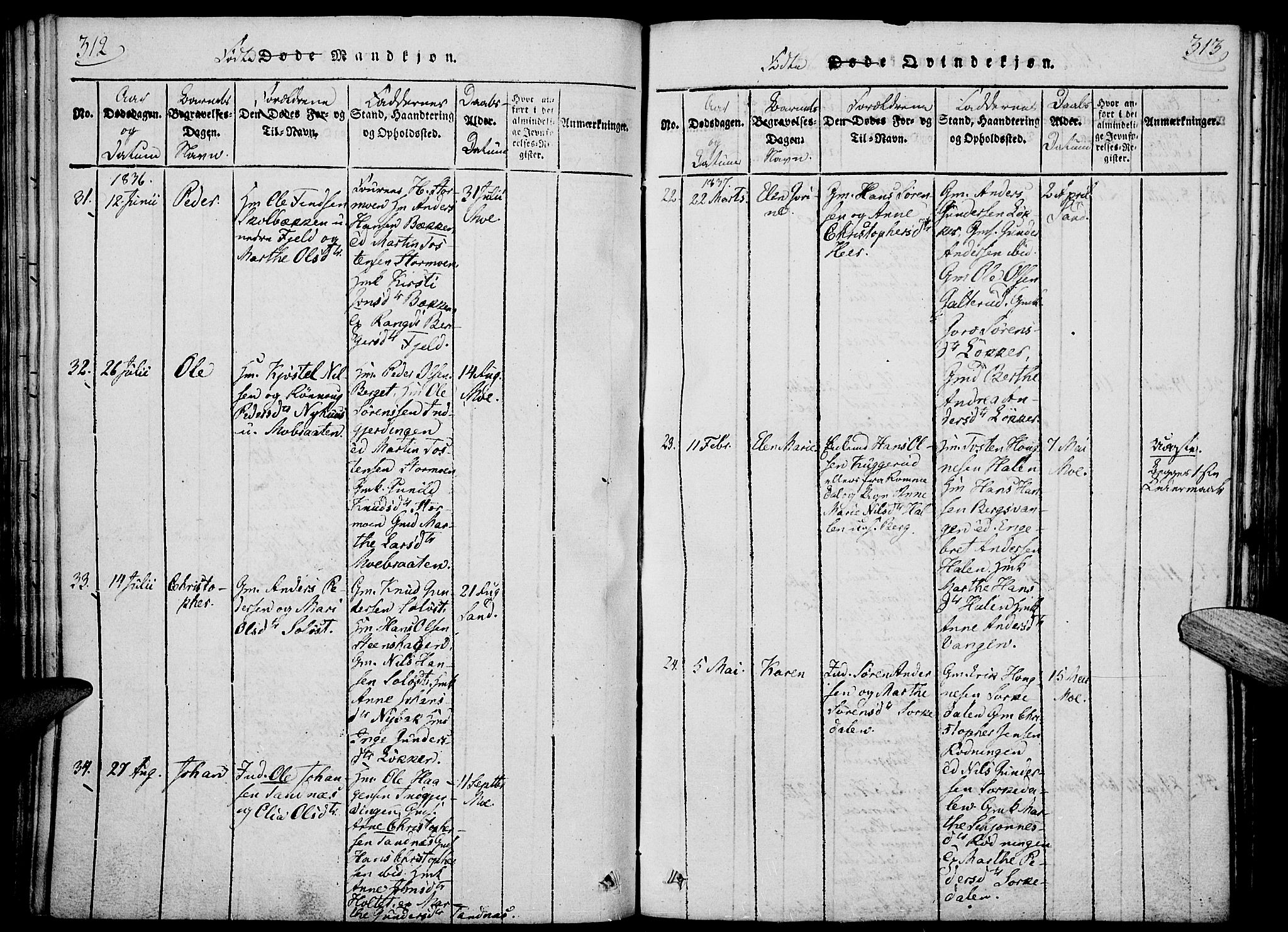 Nord-Odal prestekontor, AV/SAH-PREST-032/H/Ha/Haa/L0001: Parish register (official) no. 1, 1819-1838, p. 312-313