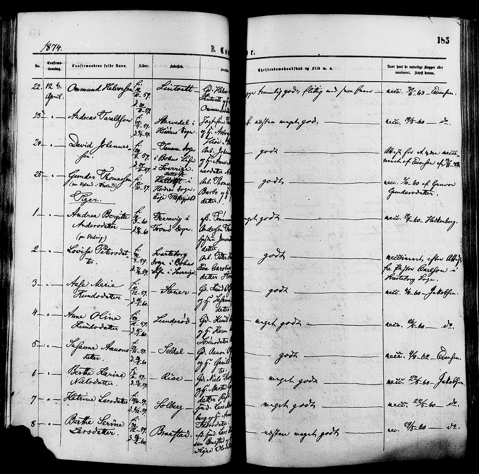 Øyestad sokneprestkontor, AV/SAK-1111-0049/F/Fa/L0016: Parish register (official) no. A 16, 1874-1886, p. 185