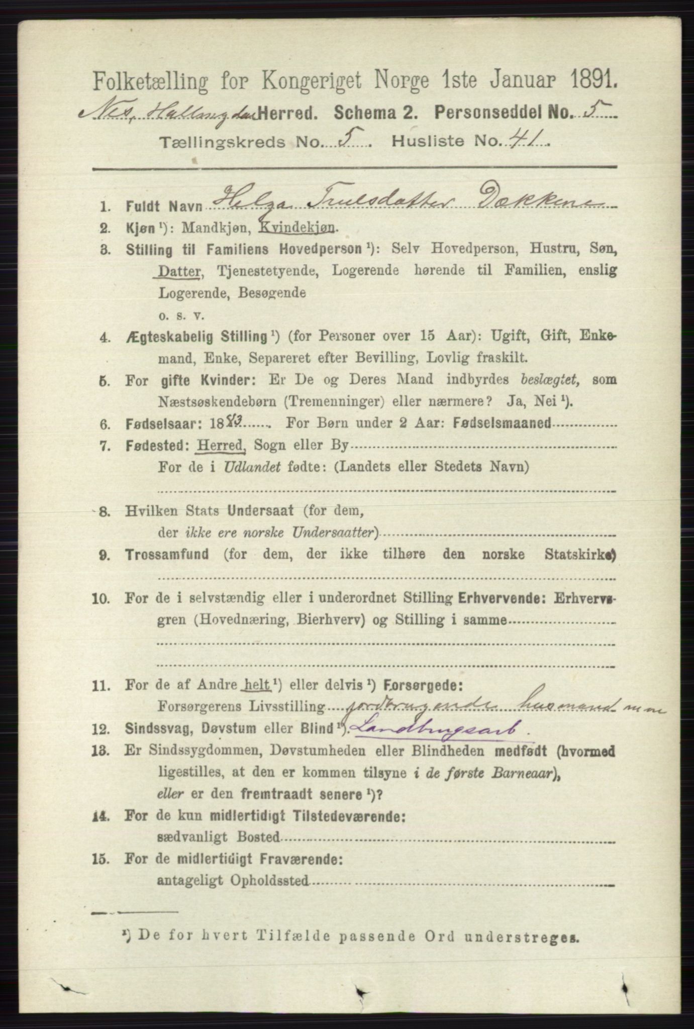 RA, 1891 census for 0616 Nes, 1891, p. 2858