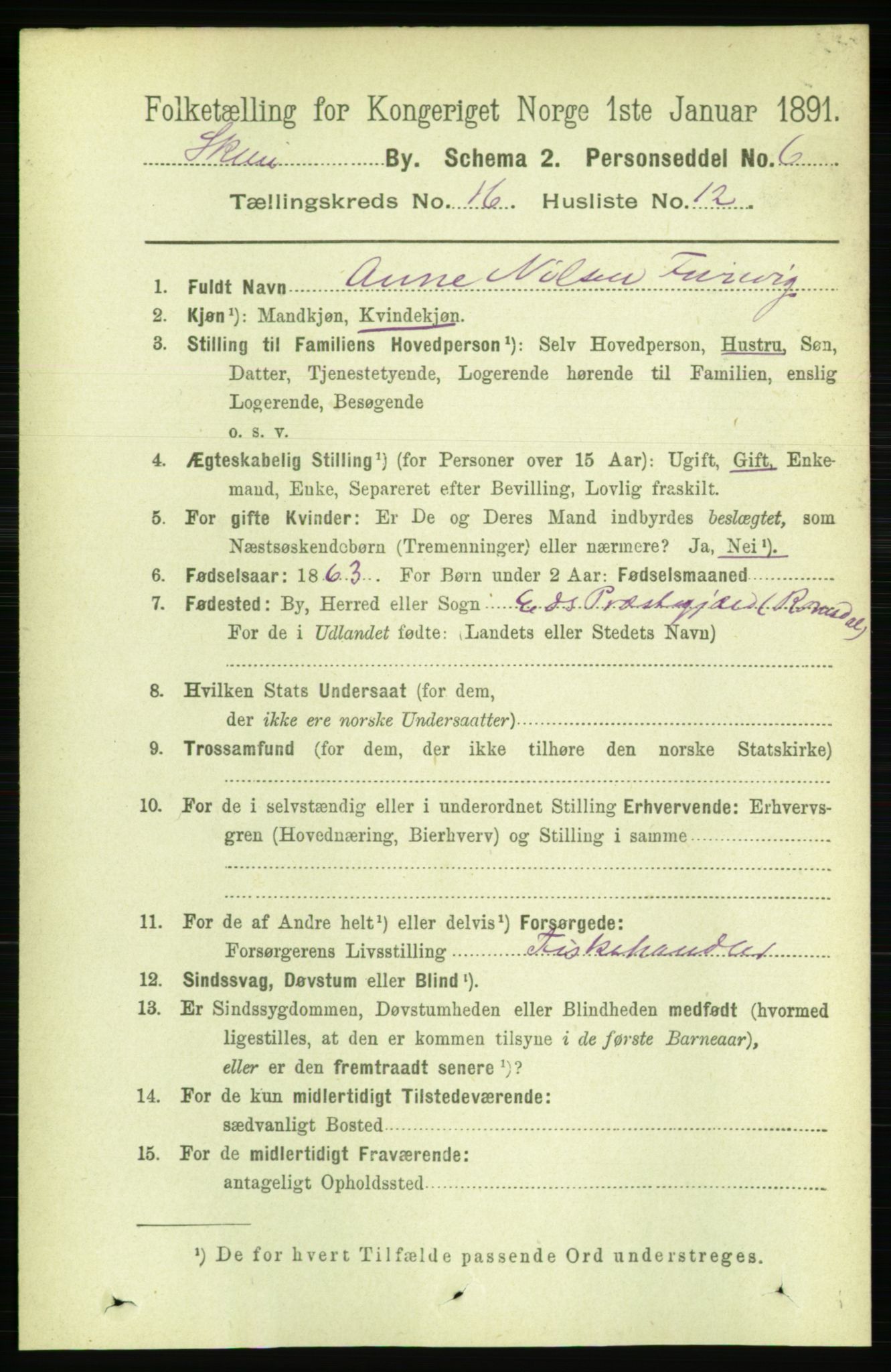 RA, 1891 census for 0806 Skien, 1891, p. 4639