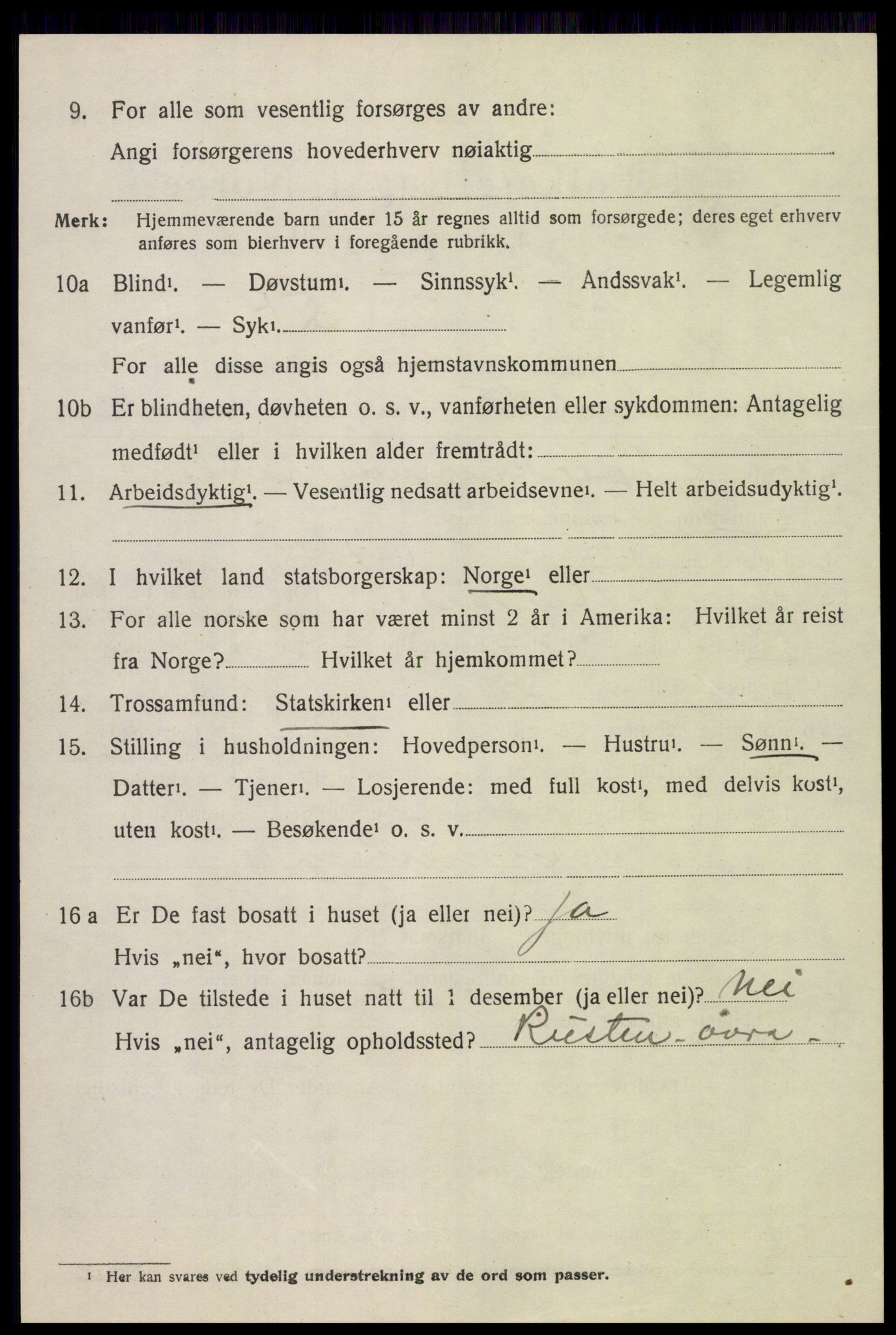 SAH, 1920 census for Heidal, 1920, p. 2015