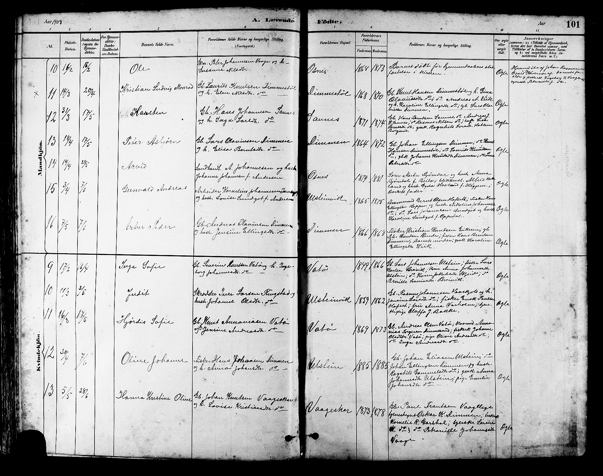 Ministerialprotokoller, klokkerbøker og fødselsregistre - Møre og Romsdal, AV/SAT-A-1454/509/L0112: Parish register (copy) no. 509C02, 1883-1922, p. 101