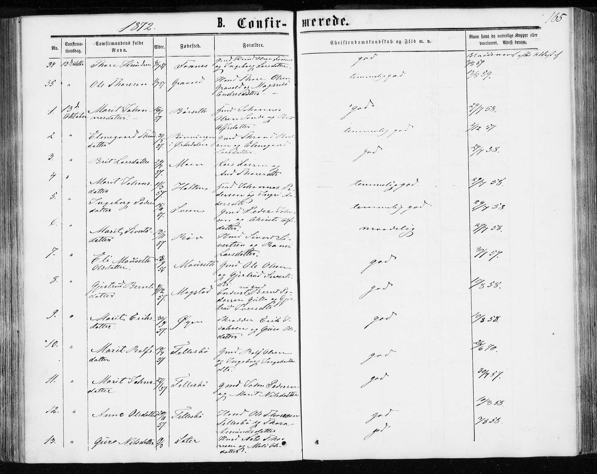 Ministerialprotokoller, klokkerbøker og fødselsregistre - Møre og Romsdal, AV/SAT-A-1454/595/L1045: Parish register (official) no. 595A07, 1863-1873, p. 165