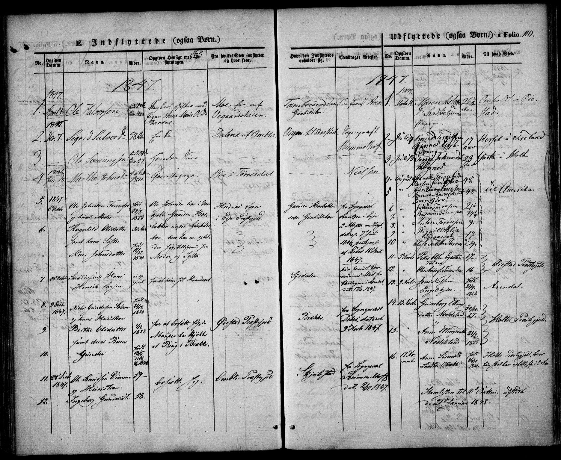 Austre Moland sokneprestkontor, SAK/1111-0001/F/Fa/Faa/L0007: Parish register (official) no. A 7, 1847-1857, p. 110