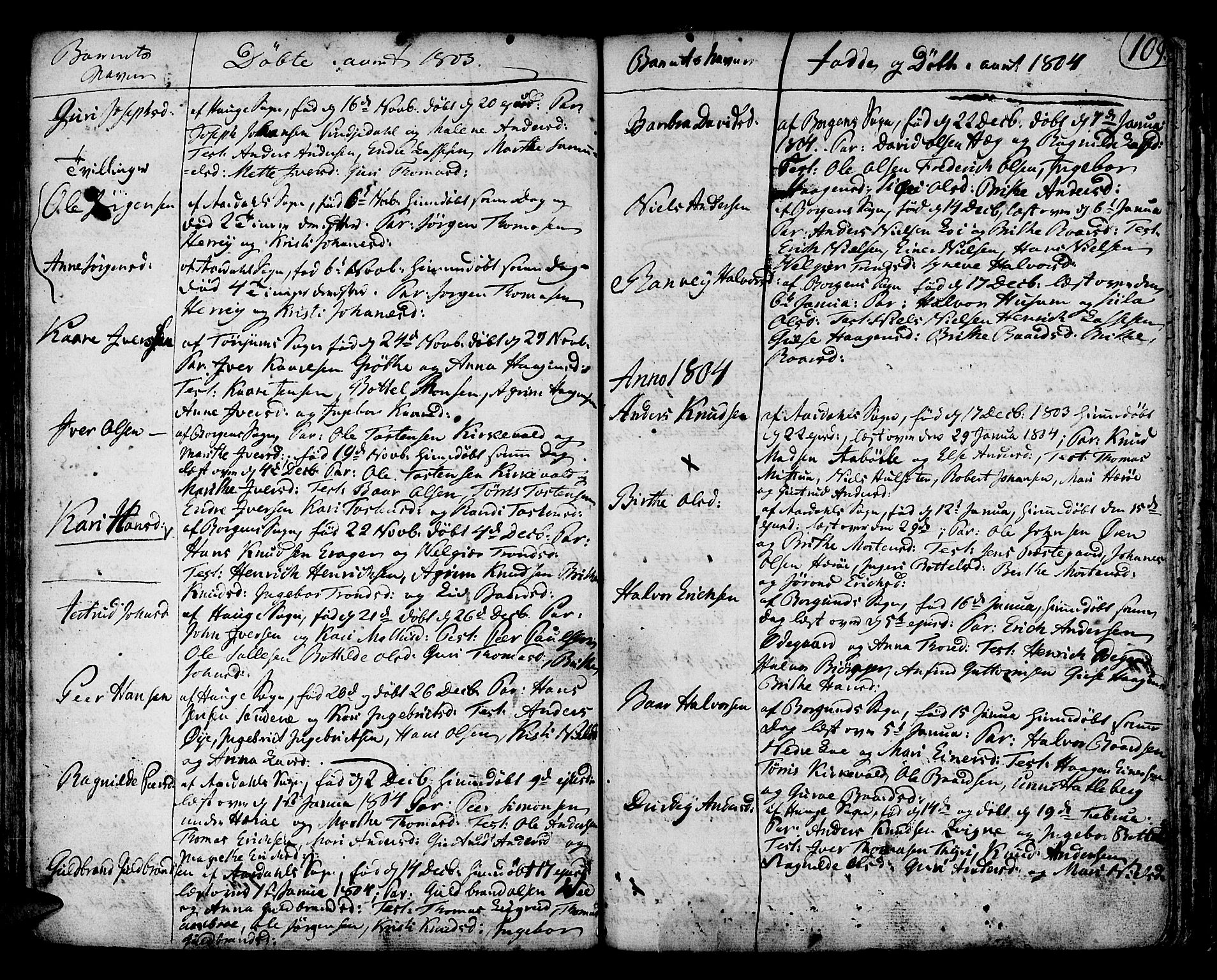 Lærdal sokneprestembete, SAB/A-81201: Parish register (official) no. A 3, 1783-1804, p. 109