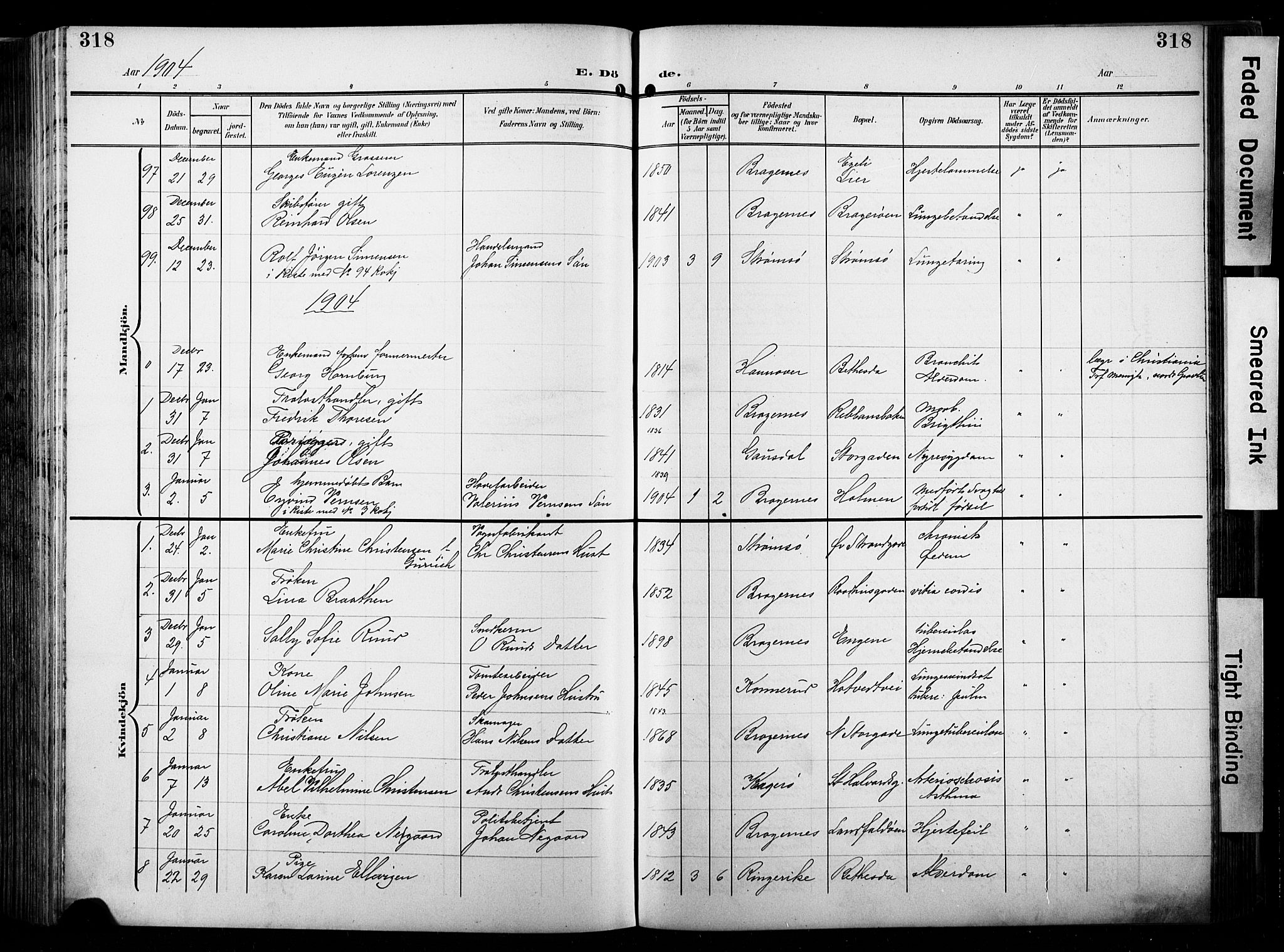 Bragernes kirkebøker, AV/SAKO-A-6/F/Fb/L0009: Parish register (official) no. II 9, 1902-1911, p. 318
