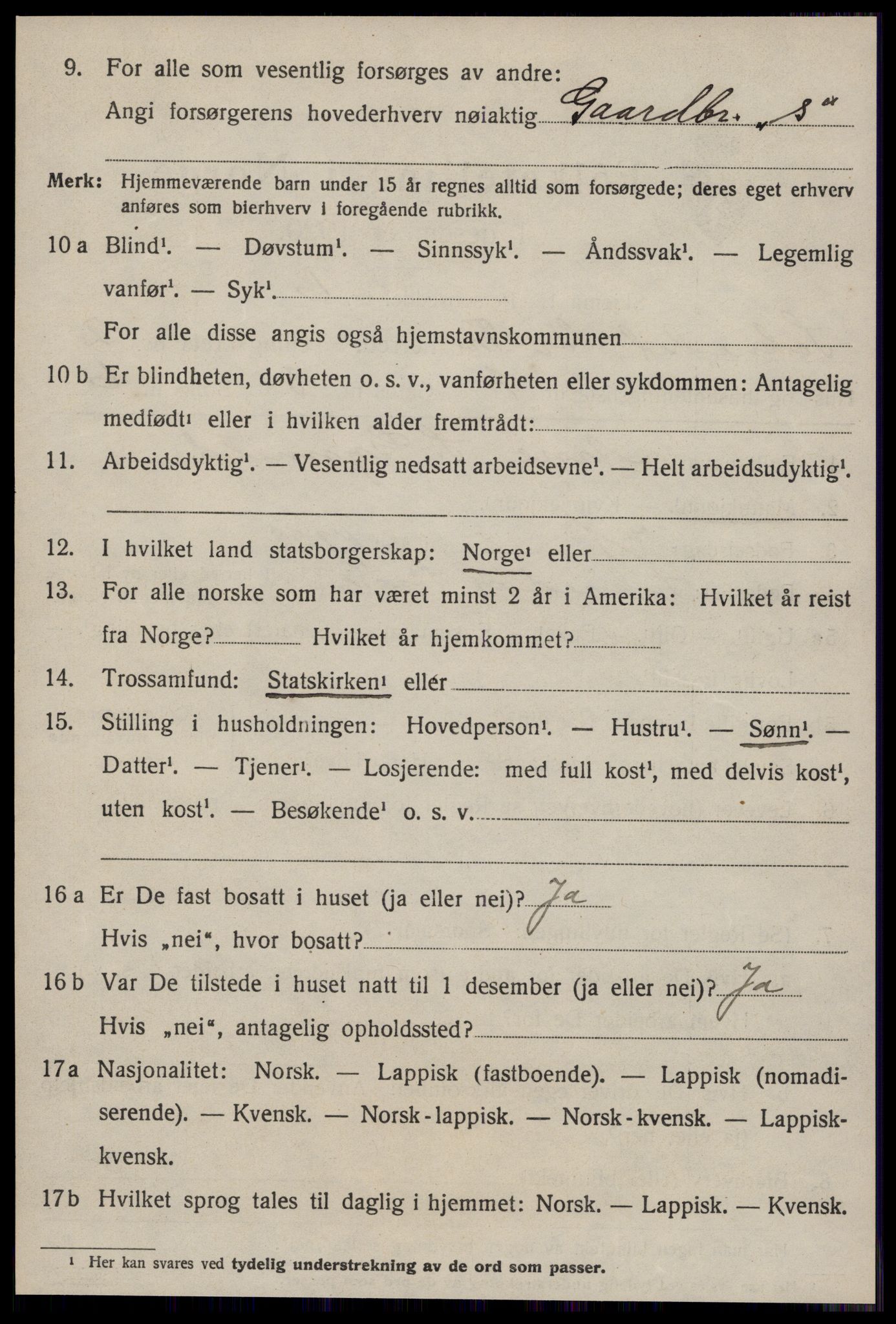 SAT, 1920 census for Soknedal, 1920, p. 1223