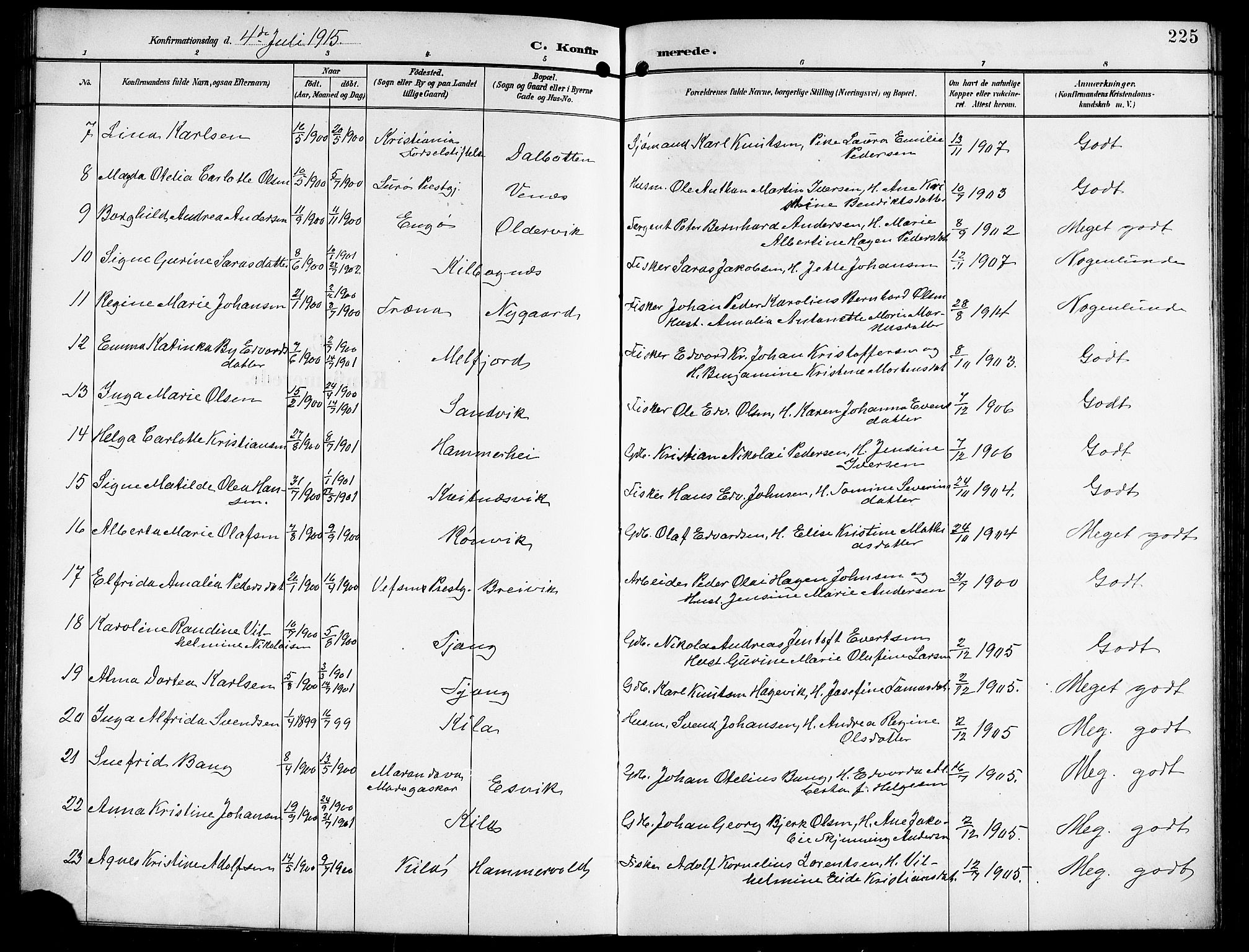 Ministerialprotokoller, klokkerbøker og fødselsregistre - Nordland, AV/SAT-A-1459/841/L0621: Parish register (copy) no. 841C05, 1897-1923, p. 225