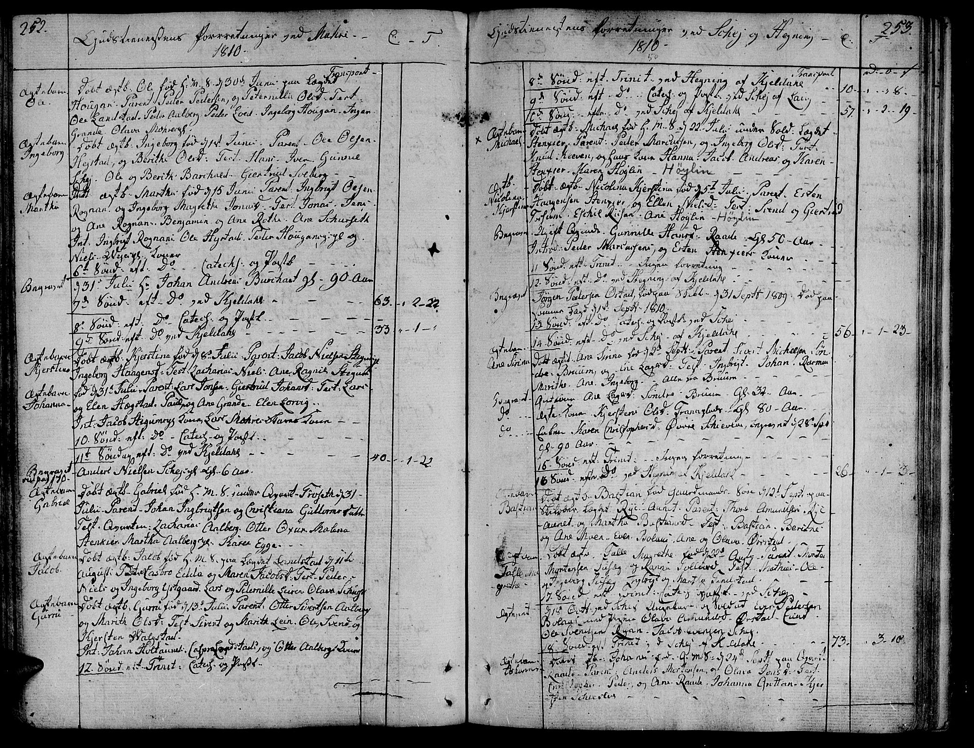 Ministerialprotokoller, klokkerbøker og fødselsregistre - Nord-Trøndelag, SAT/A-1458/735/L0332: Parish register (official) no. 735A03, 1795-1816, p. 252-253