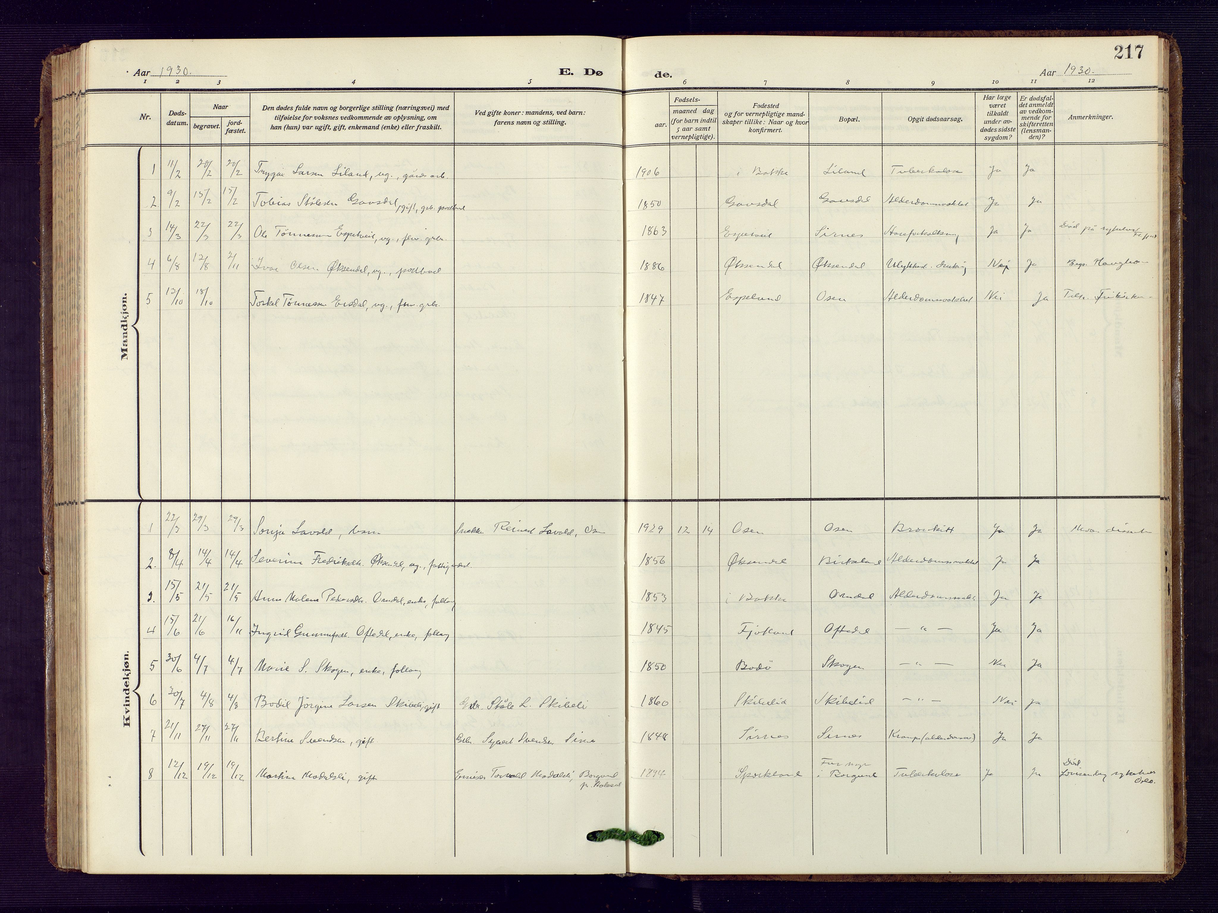 Bakke sokneprestkontor, SAK/1111-0002/F/Fb/Fba/L0004: Parish register (copy) no. B 4, 1911-1946, p. 217