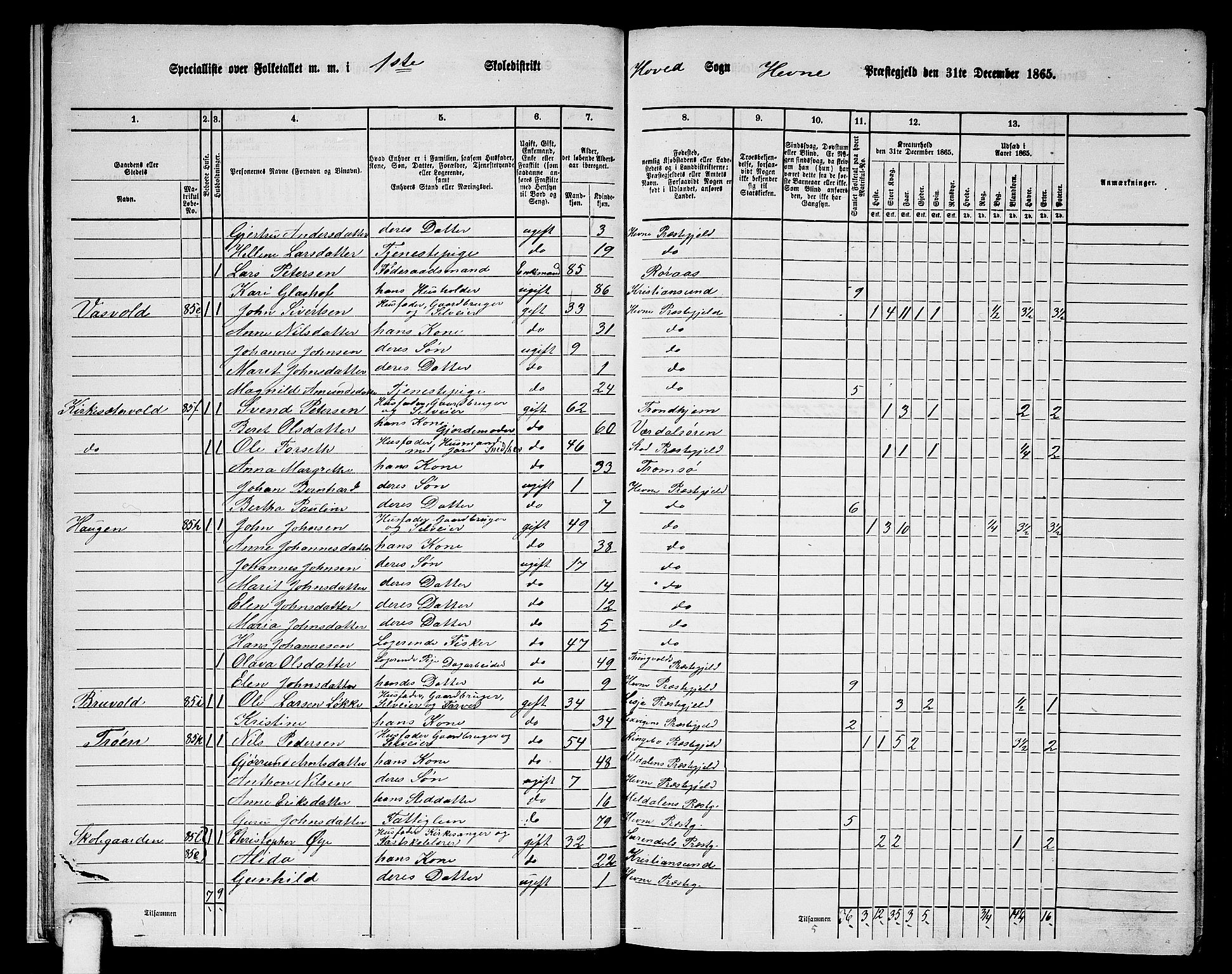 RA, 1865 census for Hemne, 1865, p. 16