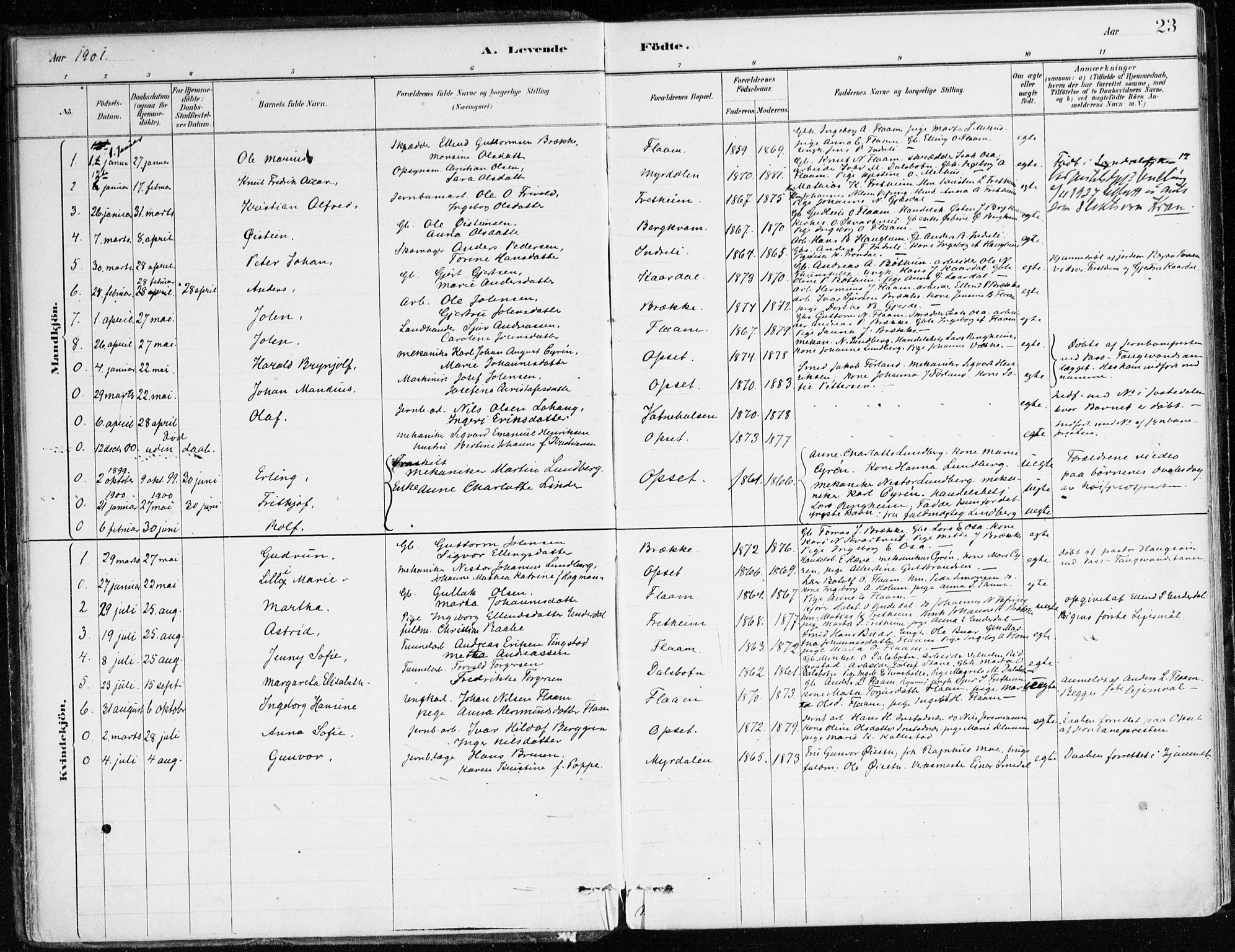 Aurland sokneprestembete, SAB/A-99937/H/Ha/Hac/L0001: Parish register (official) no. C 1, 1880-1921, p. 23