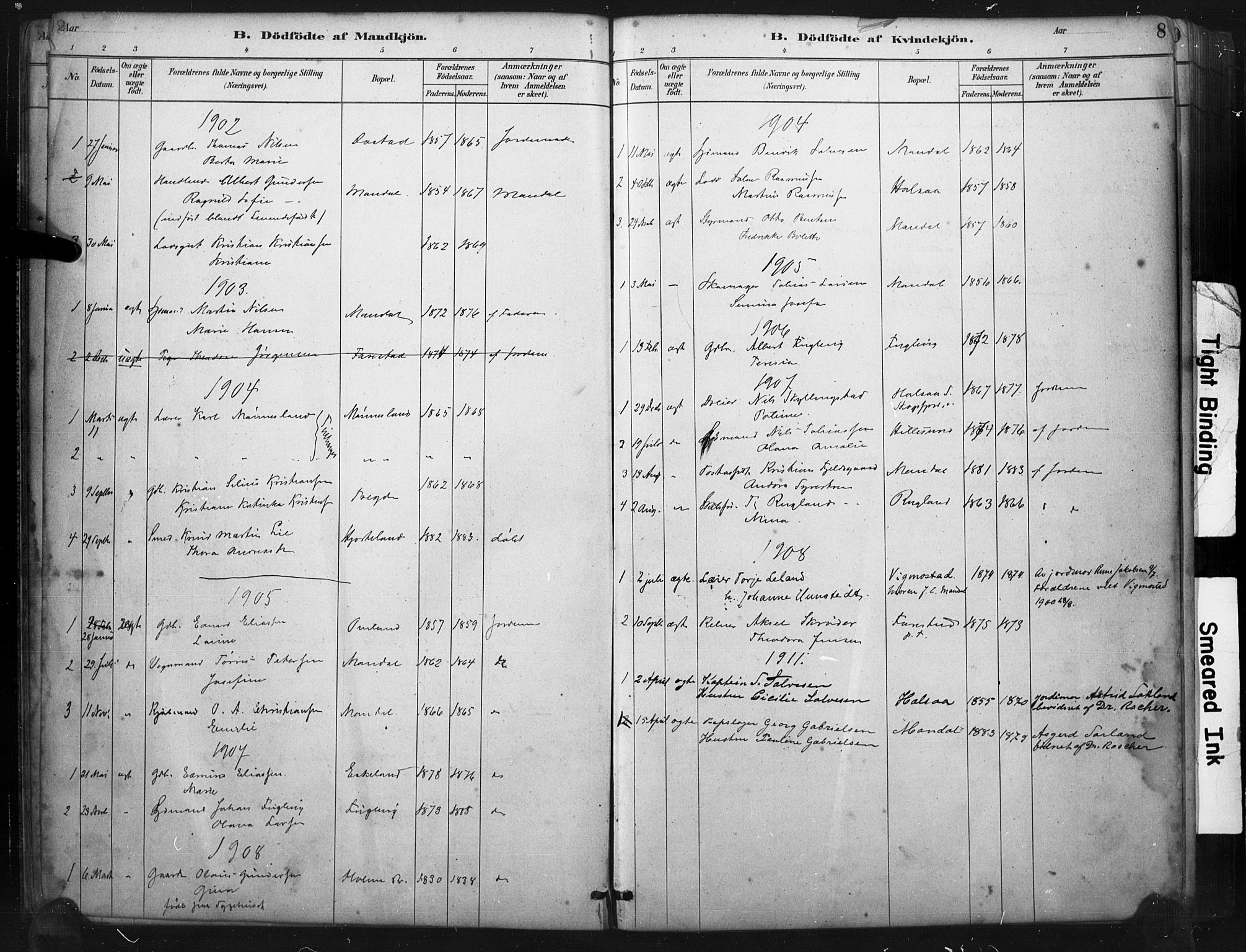 Mandal sokneprestkontor, SAK/1111-0030/F/Fa/Faa/L0017: Parish register (official) no. A 17, 1880-1926, p. 8