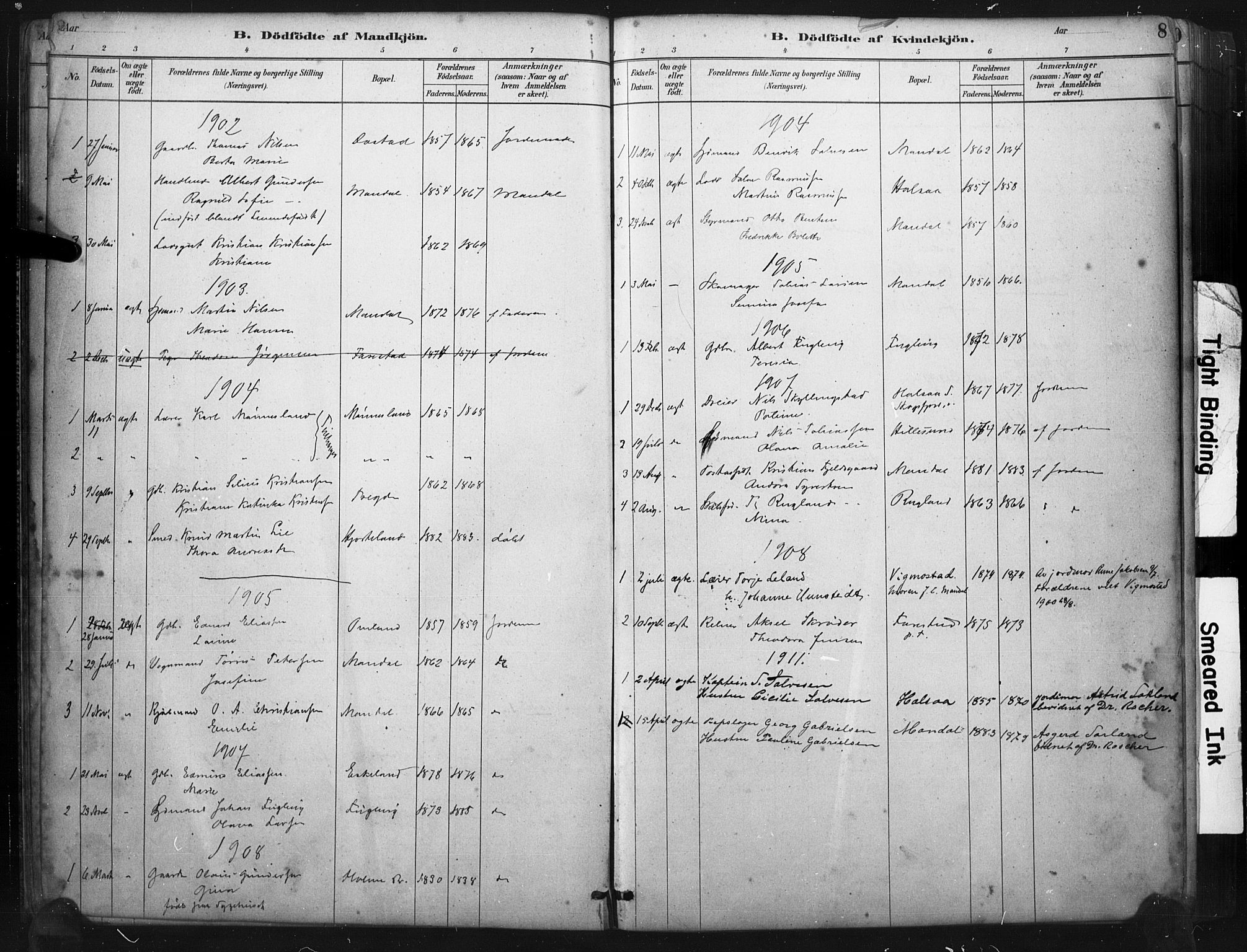Mandal sokneprestkontor, AV/SAK-1111-0030/F/Fa/Faa/L0017: Parish register (official) no. A 17, 1880-1926, p. 8