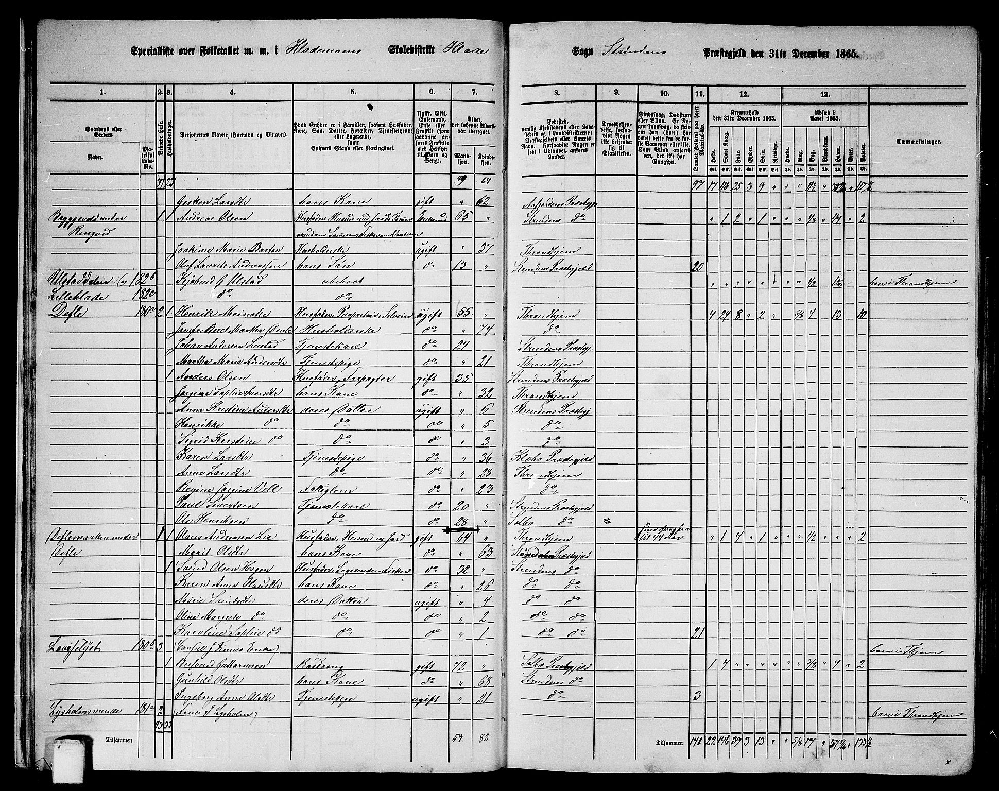 RA, 1865 census for Strinda, 1865, p. 18