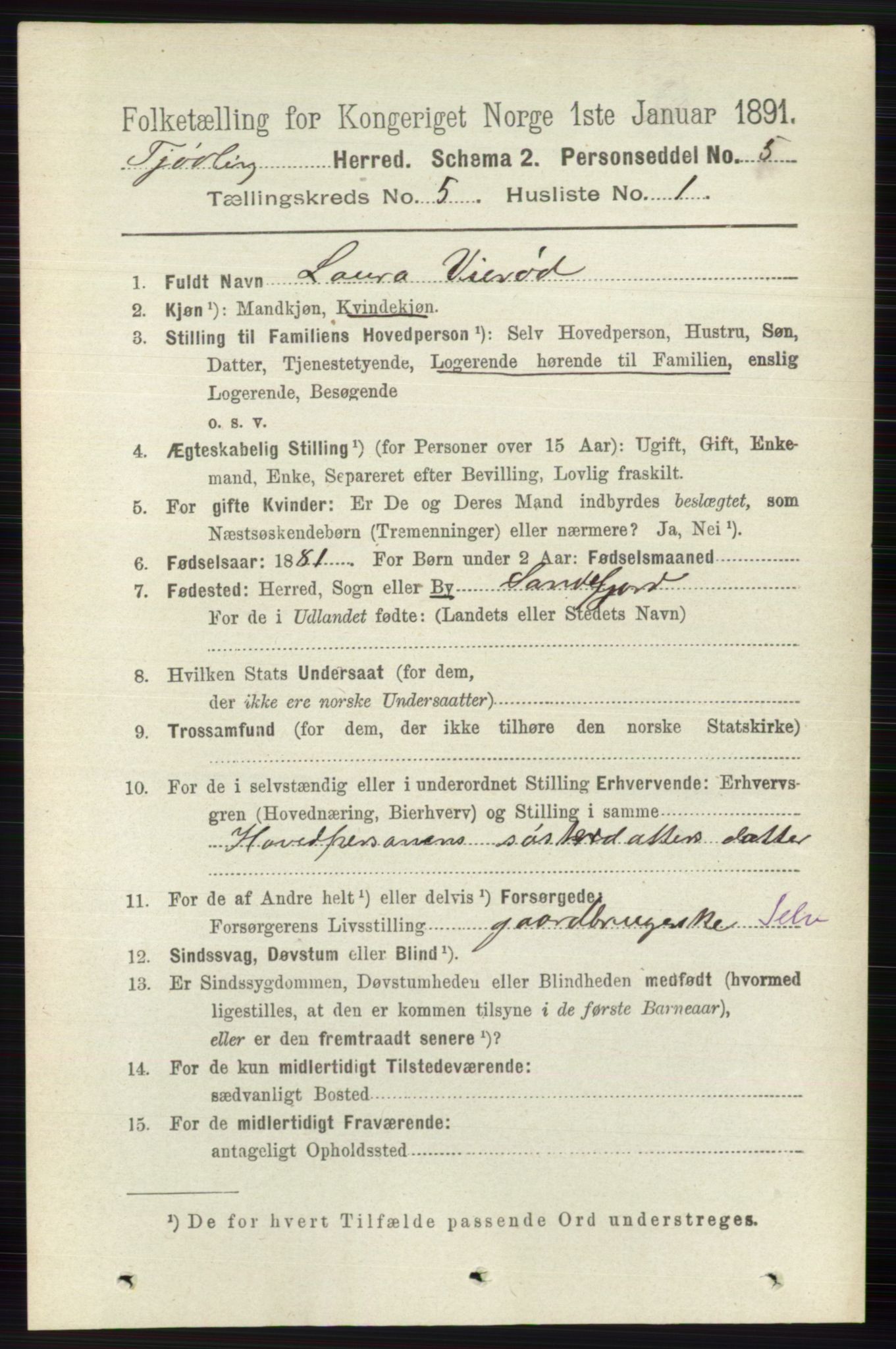 RA, 1891 census for 0725 Tjølling, 1891, p. 1976