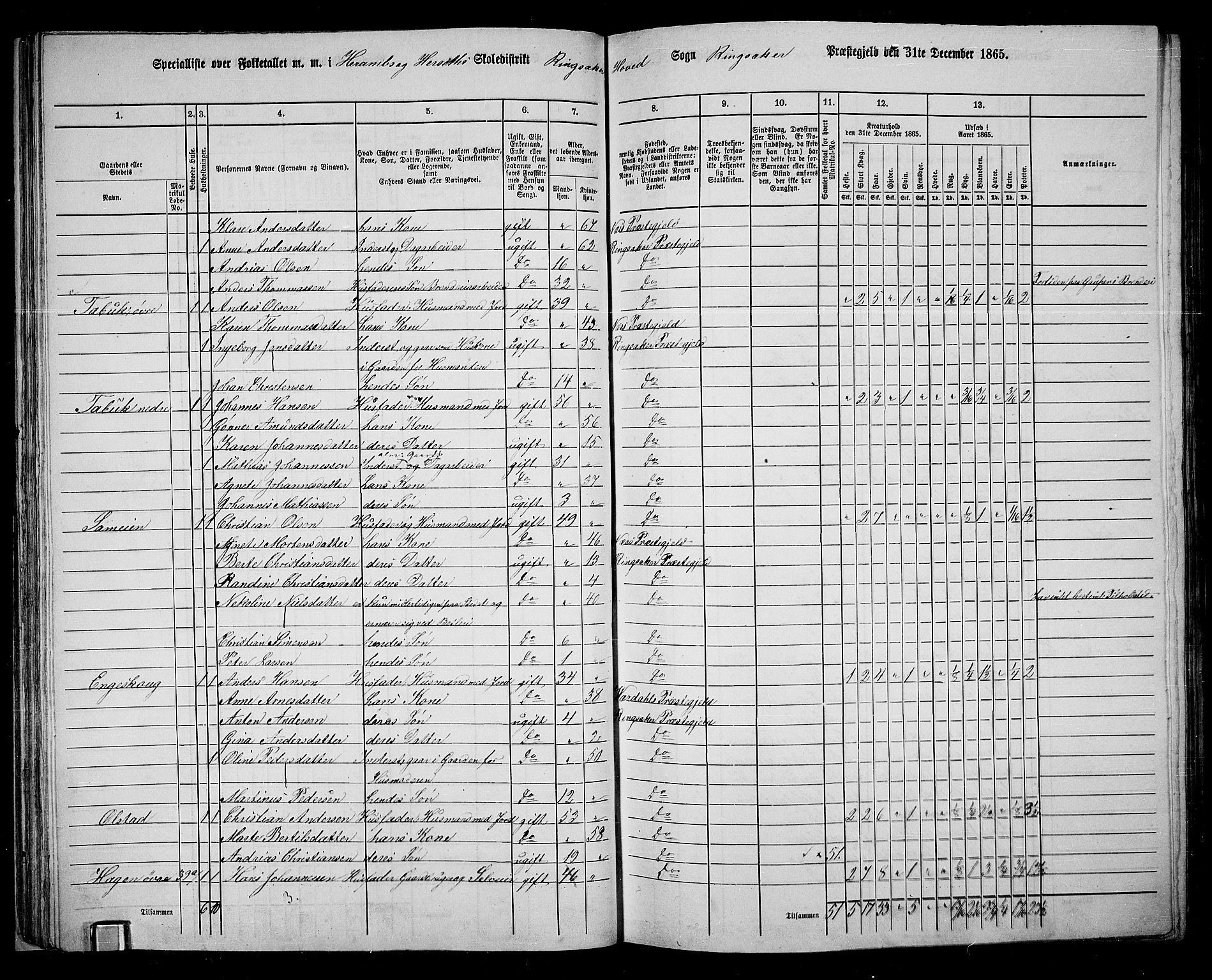 RA, 1865 census for Ringsaker, 1865, p. 61