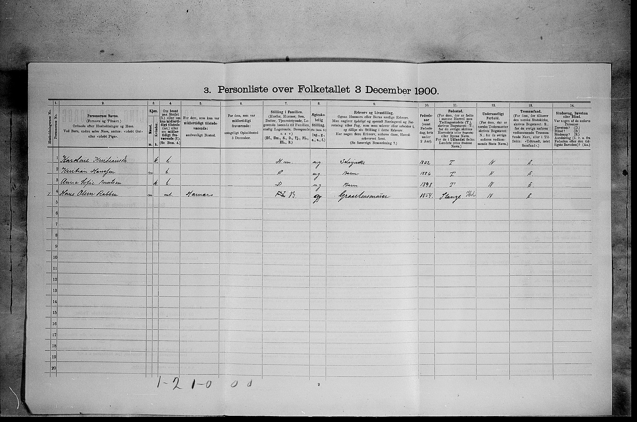 SAH, 1900 census for Elverum, 1900, p. 870