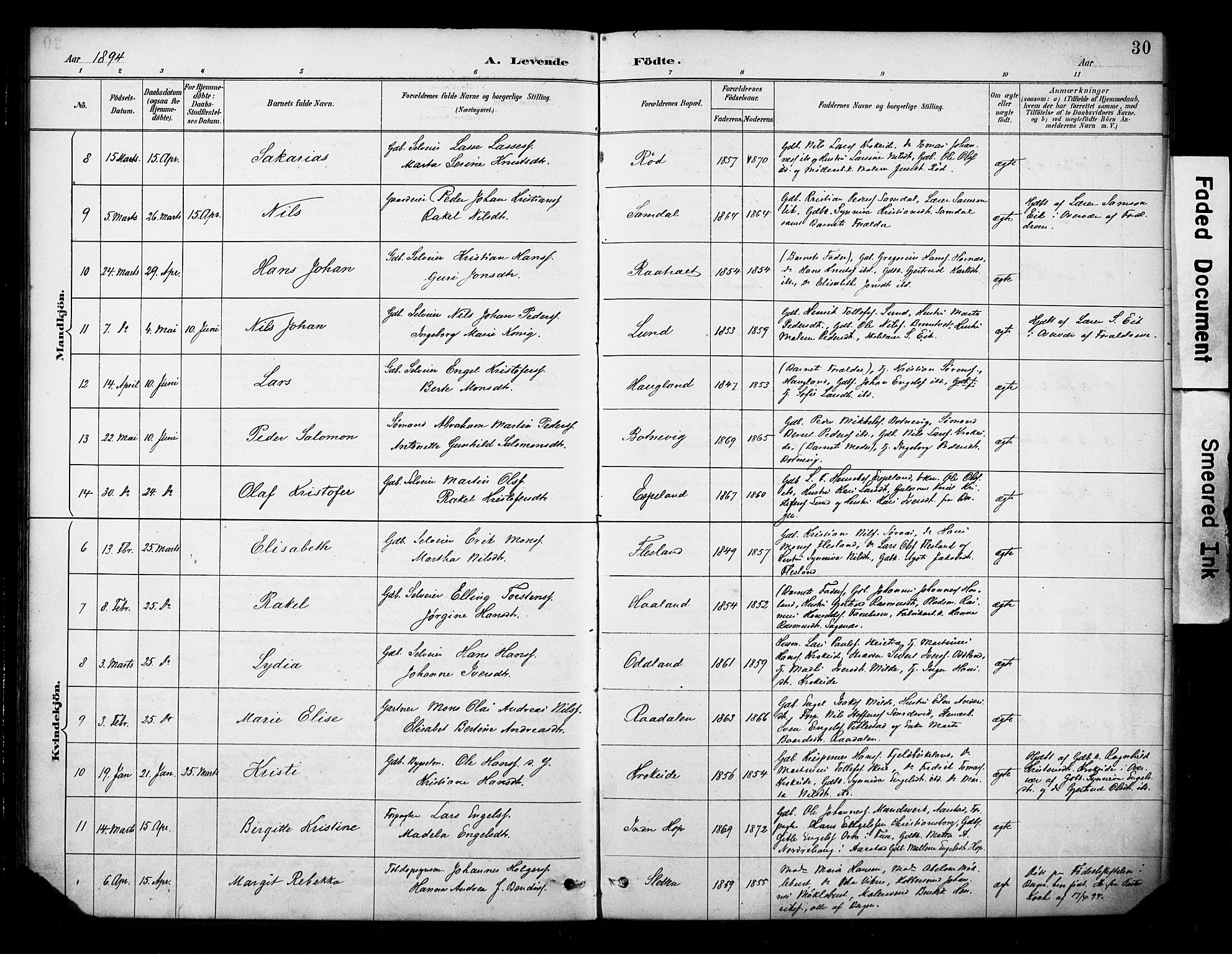 Fana Sokneprestembete, AV/SAB-A-75101/H/Haa/Haab/L0002: Parish register (official) no. B 2, 1890-1897, p. 30