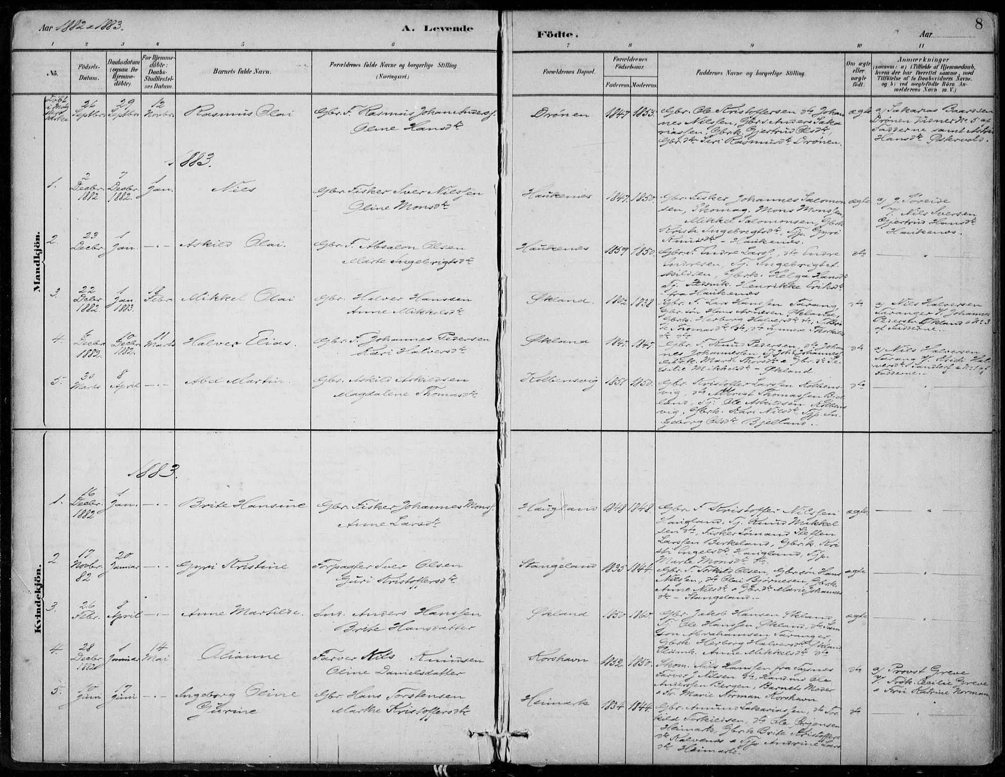 Sund sokneprestembete, SAB/A-99930: Parish register (official) no. C  1, 1882-1899, p. 8