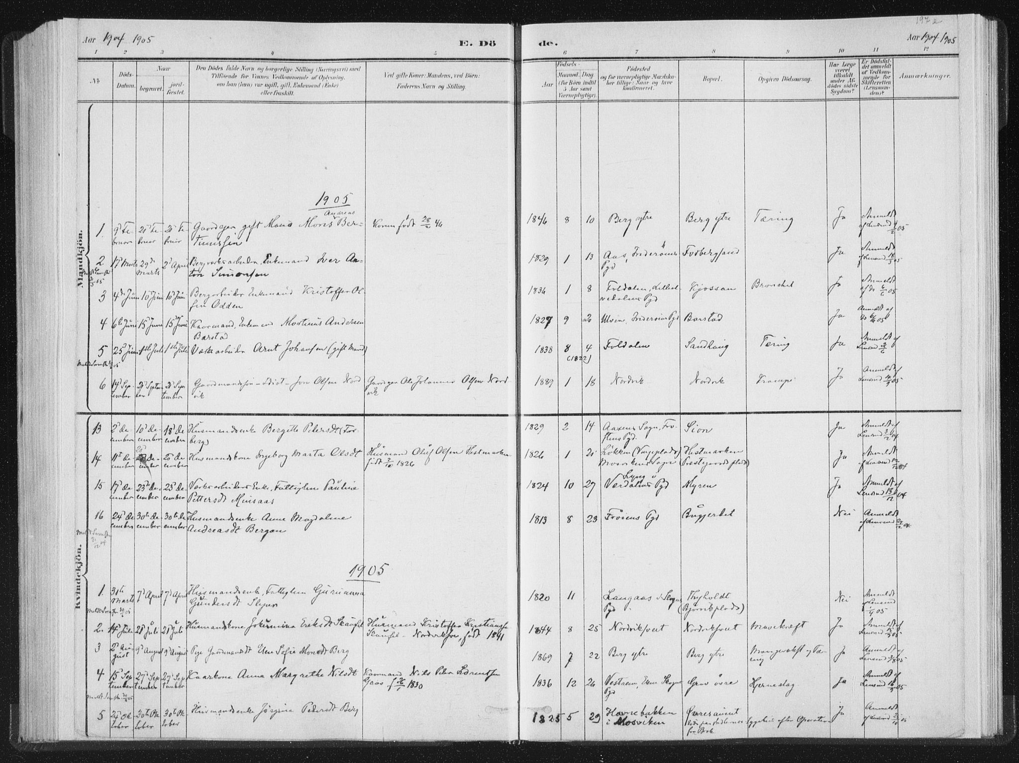 Ministerialprotokoller, klokkerbøker og fødselsregistre - Nord-Trøndelag, SAT/A-1458/722/L0220: Parish register (official) no. 722A07, 1881-1908, p. 197e