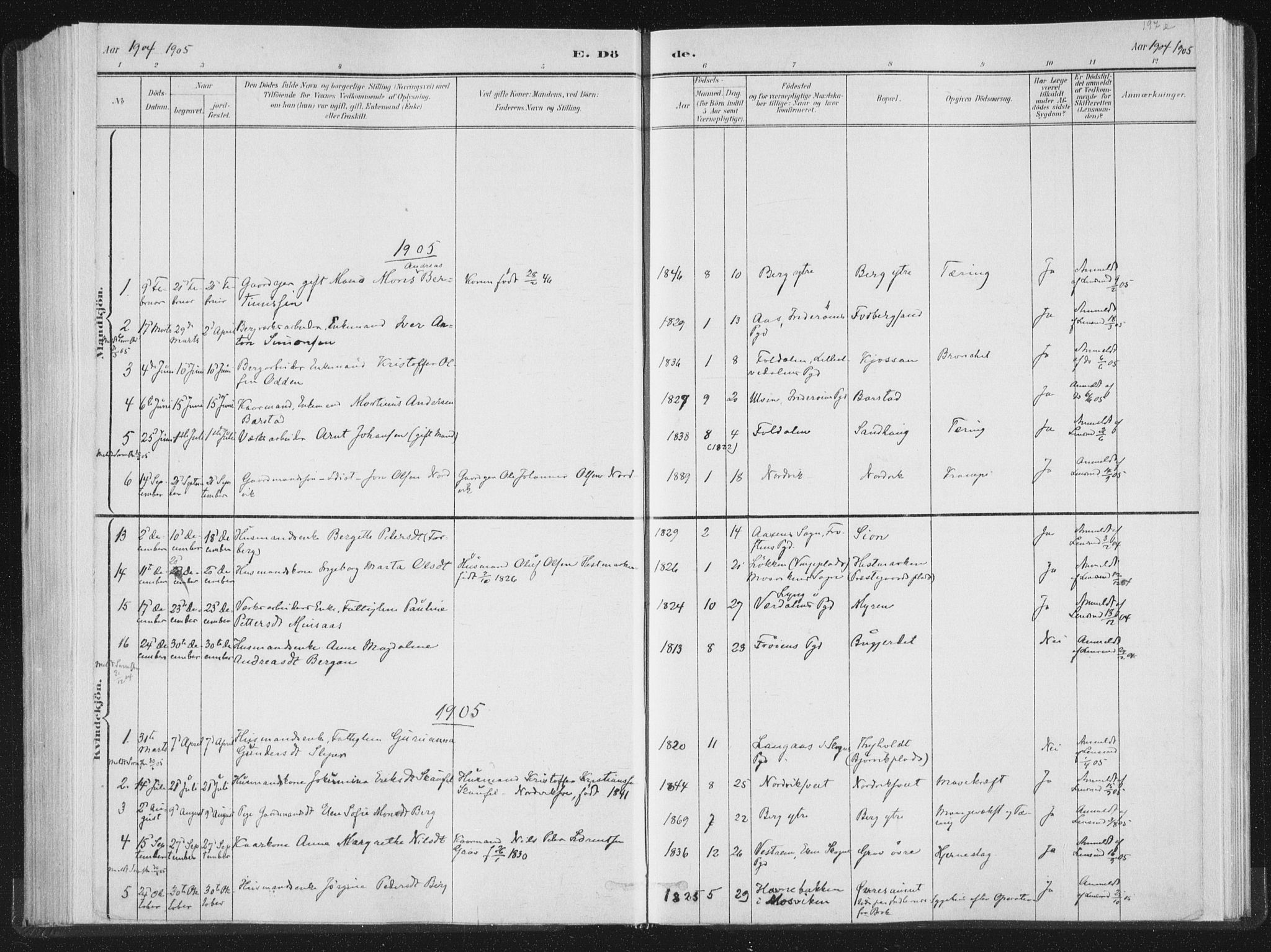 Ministerialprotokoller, klokkerbøker og fødselsregistre - Nord-Trøndelag, AV/SAT-A-1458/722/L0220: Parish register (official) no. 722A07, 1881-1908, p. 197e