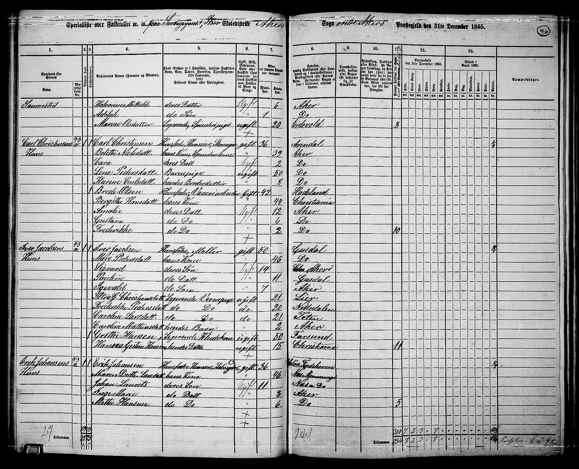 RA, 1865 census for Vestre Aker, 1865, p. 244