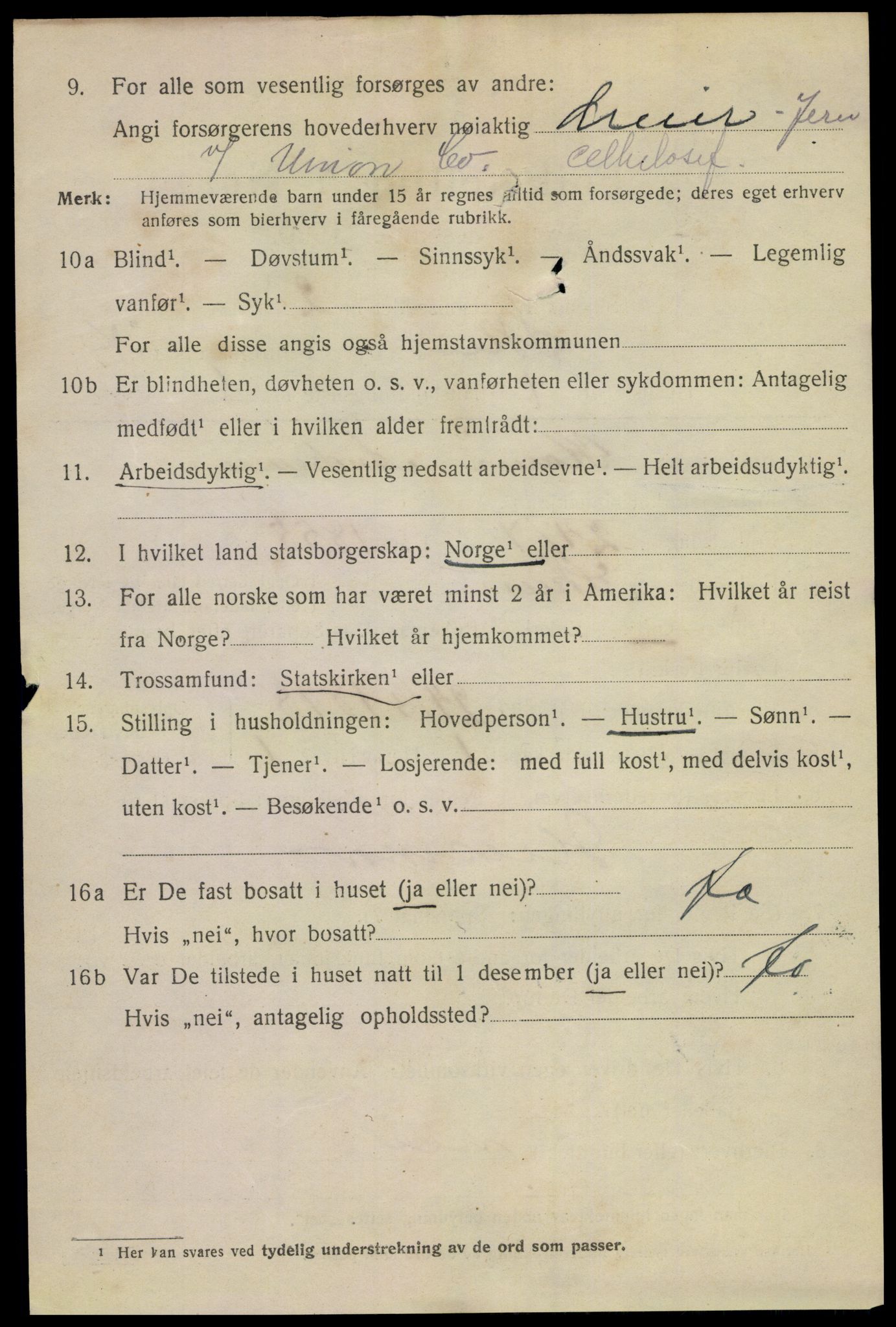 SAKO, 1920 census for Skien, 1920, p. 16825