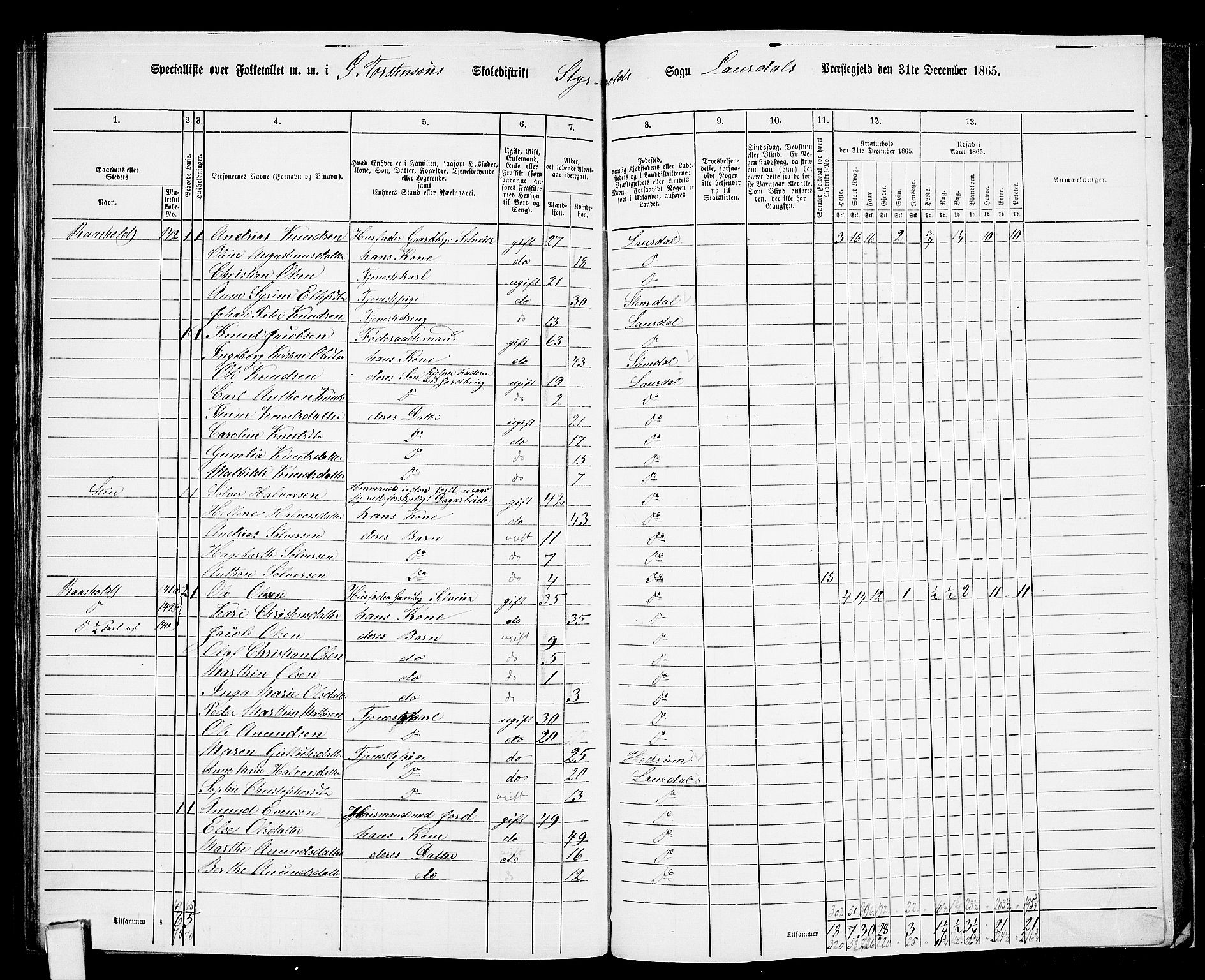 RA, 1865 census for Lardal, 1865, p. 102