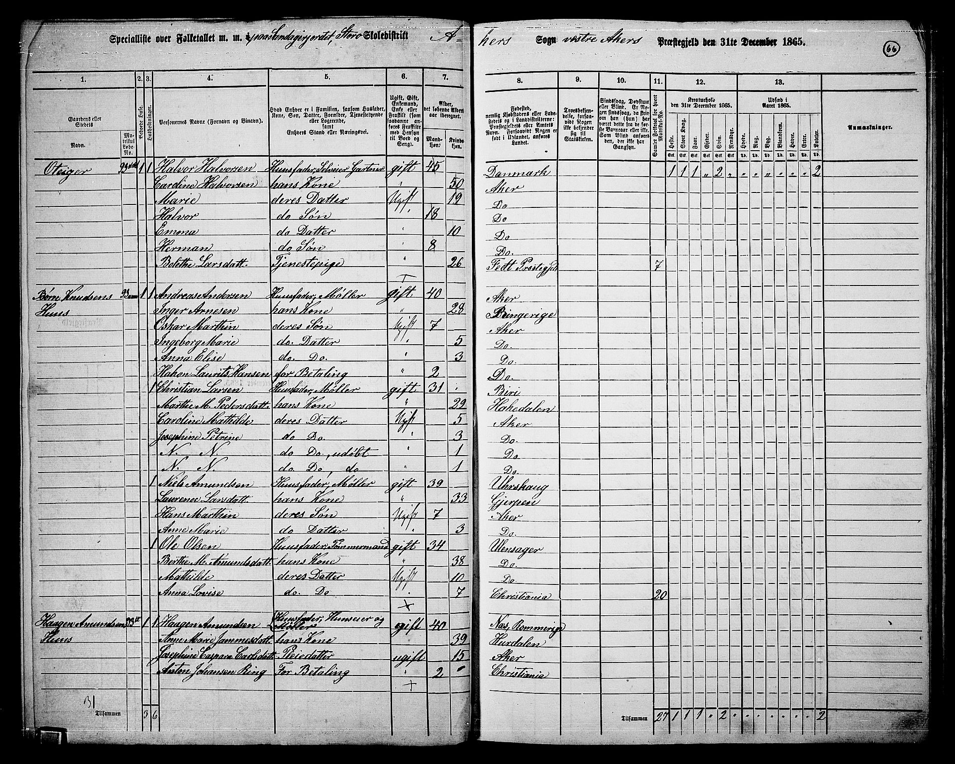 RA, 1865 census for Vestre Aker, 1865, p. 234