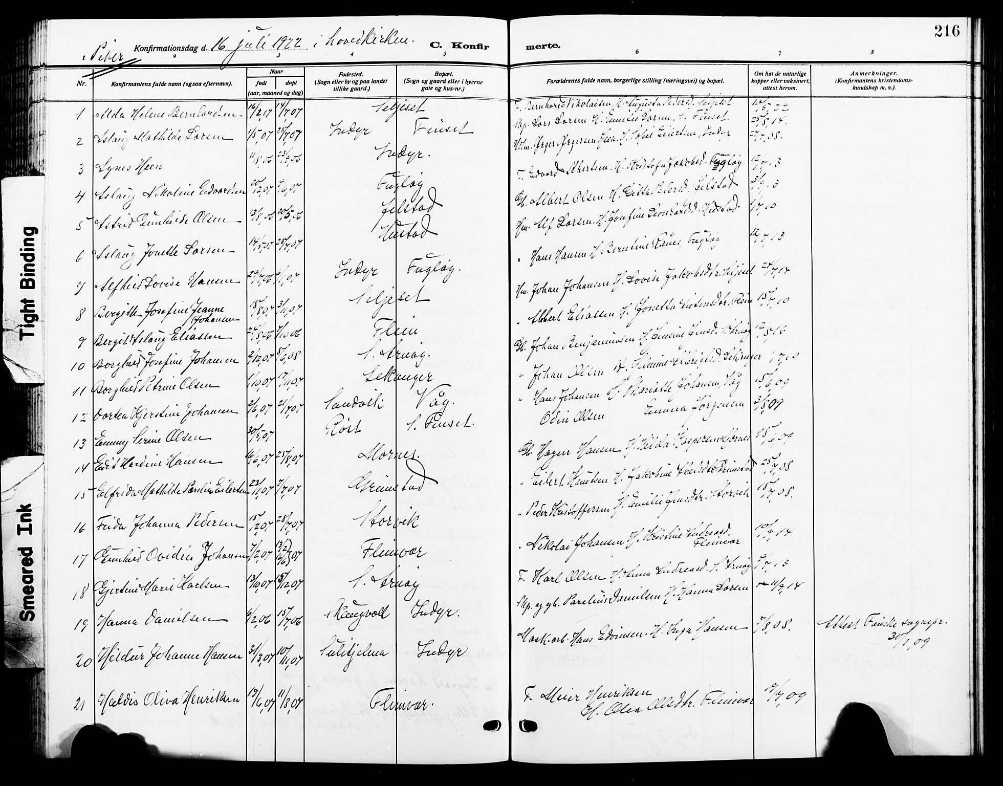 Ministerialprotokoller, klokkerbøker og fødselsregistre - Nordland, SAT/A-1459/805/L0110: Parish register (copy) no. 805C06, 1909-1924, p. 216