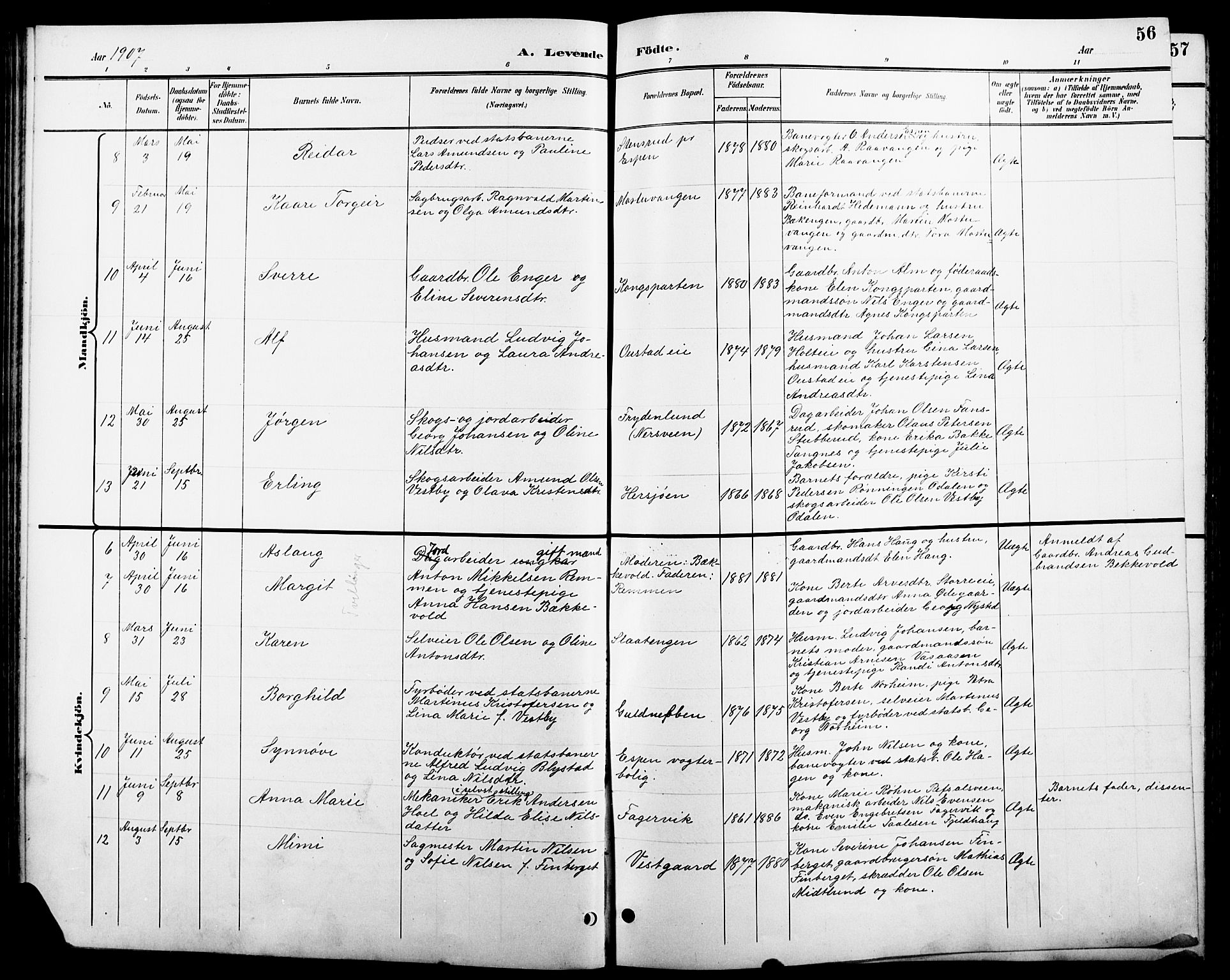 Stange prestekontor, SAH/PREST-002/L/L0011: Parish register (copy) no. 11, 1895-1917, p. 56