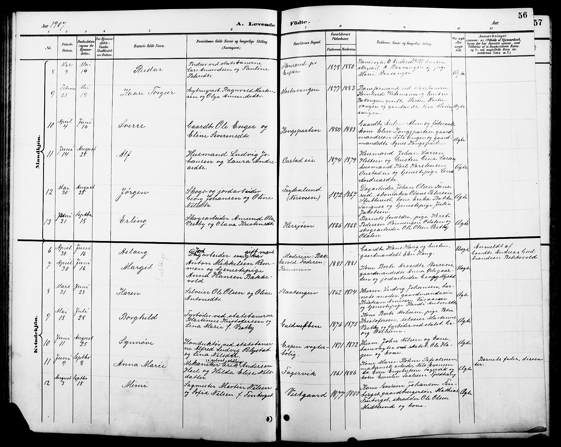 Stange prestekontor, AV/SAH-PREST-002/L/L0011: Parish register (copy) no. 11, 1895-1917, p. 56