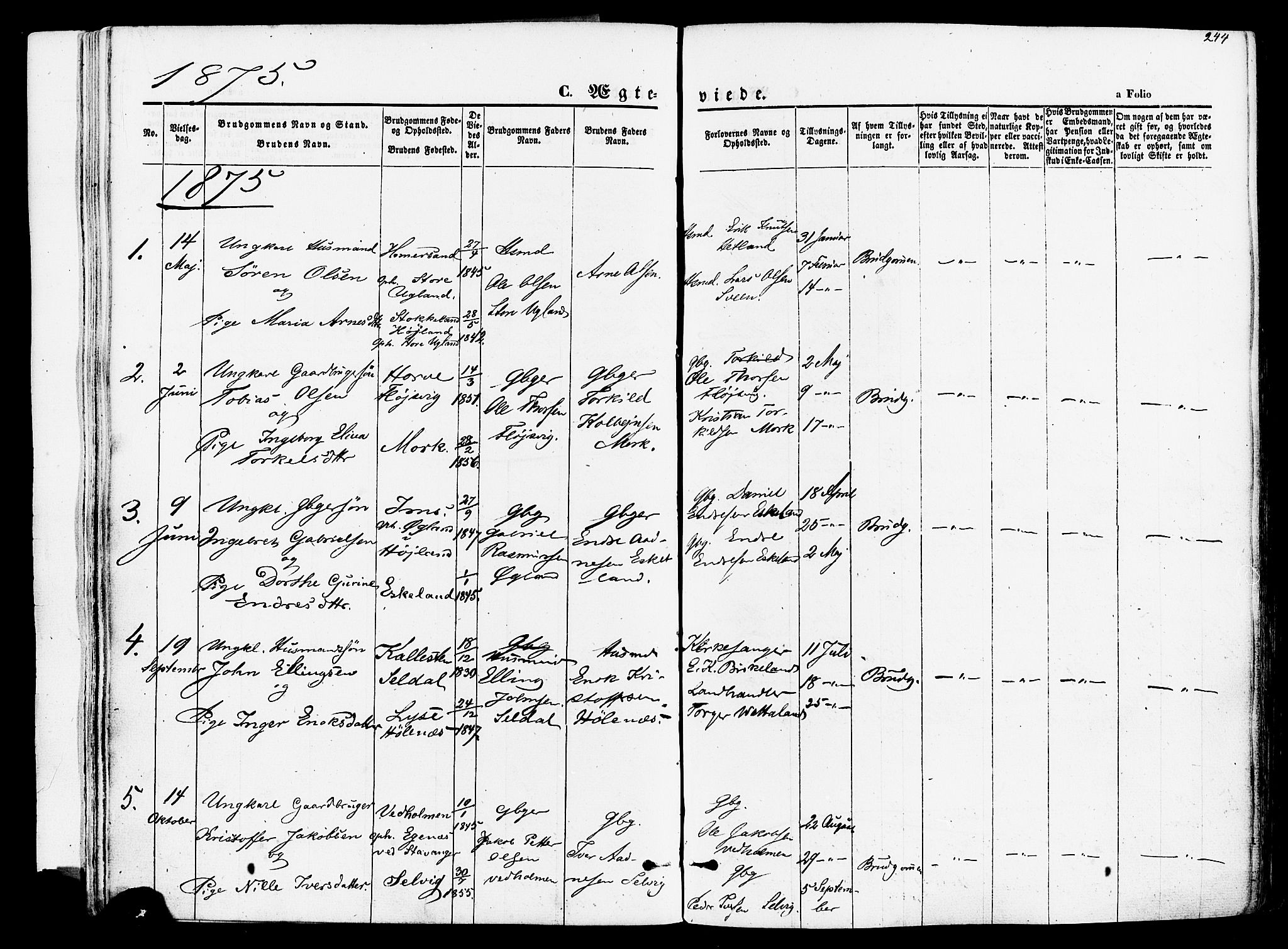 Høgsfjord sokneprestkontor, AV/SAST-A-101624/H/Ha/Haa/L0002: Parish register (official) no. A 2, 1855-1885, p. 244