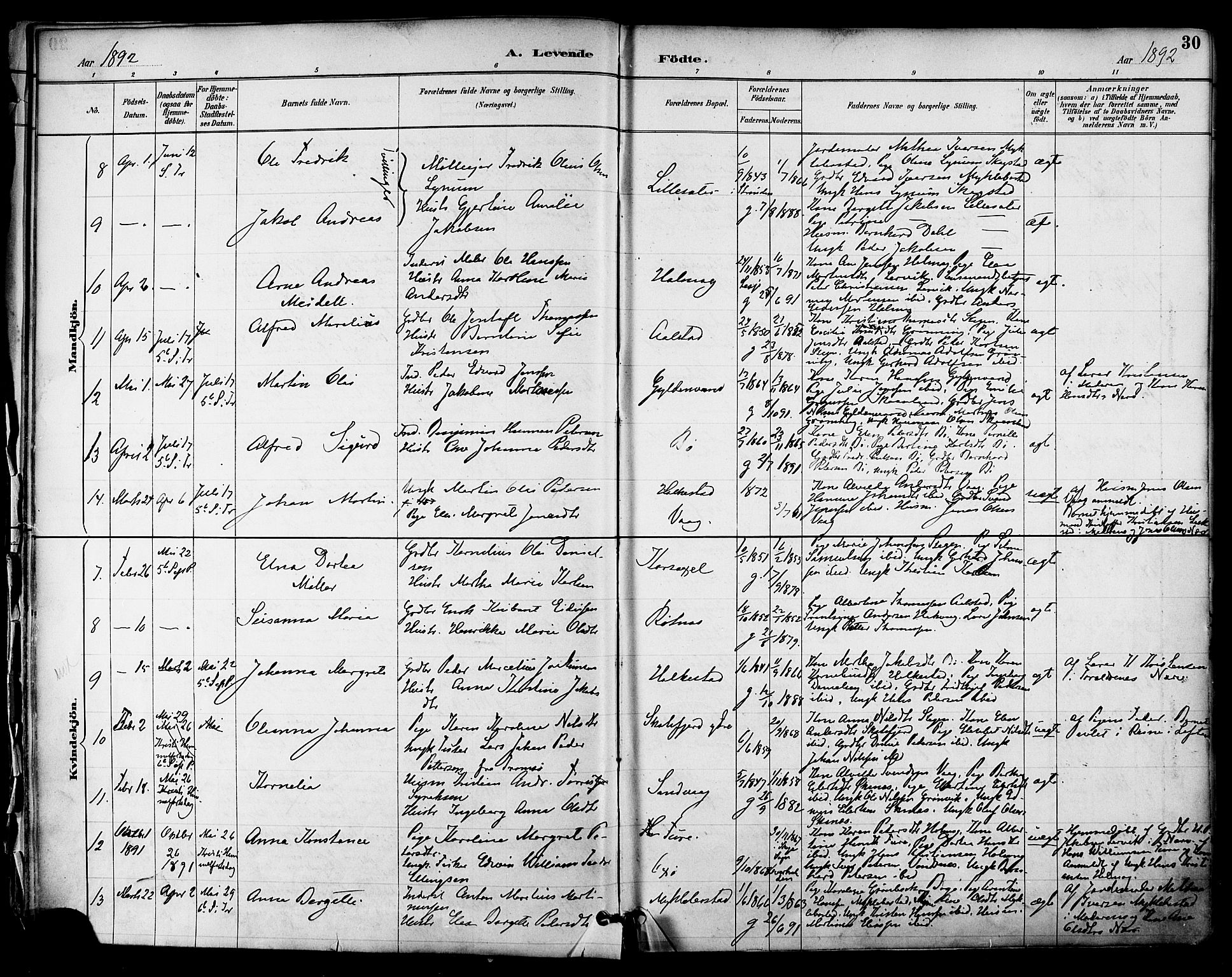 Ministerialprotokoller, klokkerbøker og fødselsregistre - Nordland, SAT/A-1459/855/L0803: Parish register (official) no. 855A11, 1887-1905, p. 30