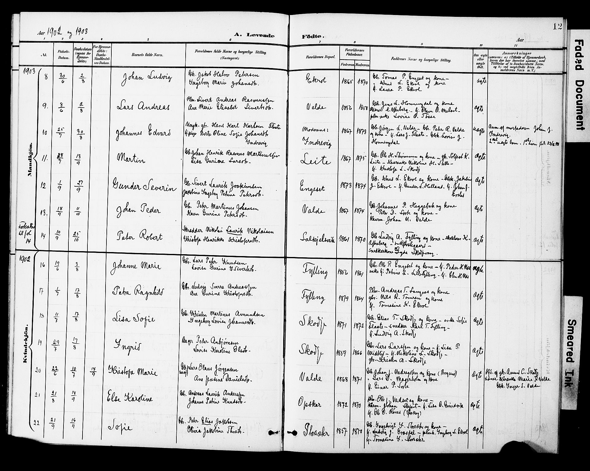 Ministerialprotokoller, klokkerbøker og fødselsregistre - Møre og Romsdal, AV/SAT-A-1454/524/L0366: Parish register (copy) no. 524C07, 1900-1931, p. 12