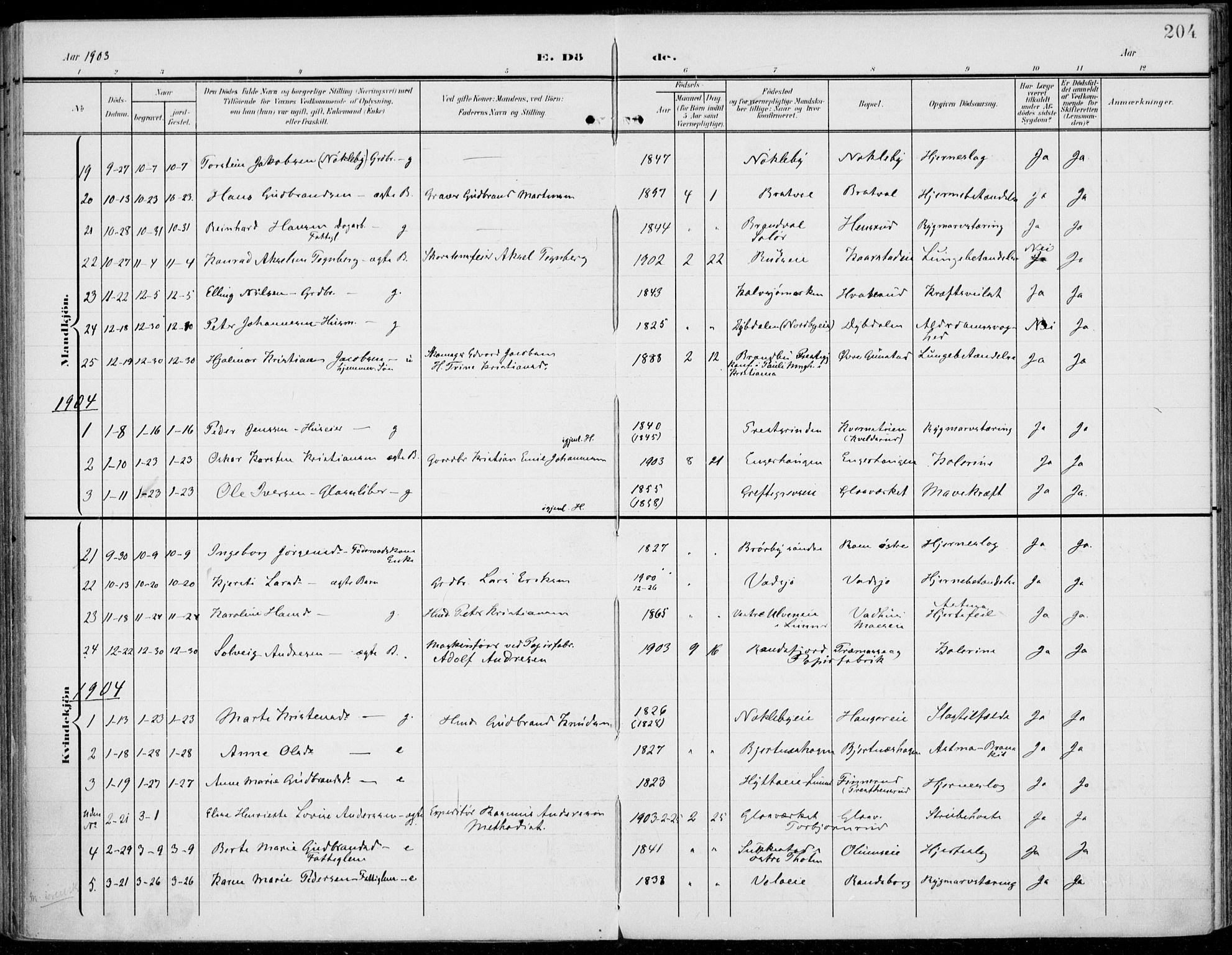 Jevnaker prestekontor, SAH/PREST-116/H/Ha/Haa/L0011: Parish register (official) no. 11, 1902-1913, p. 204