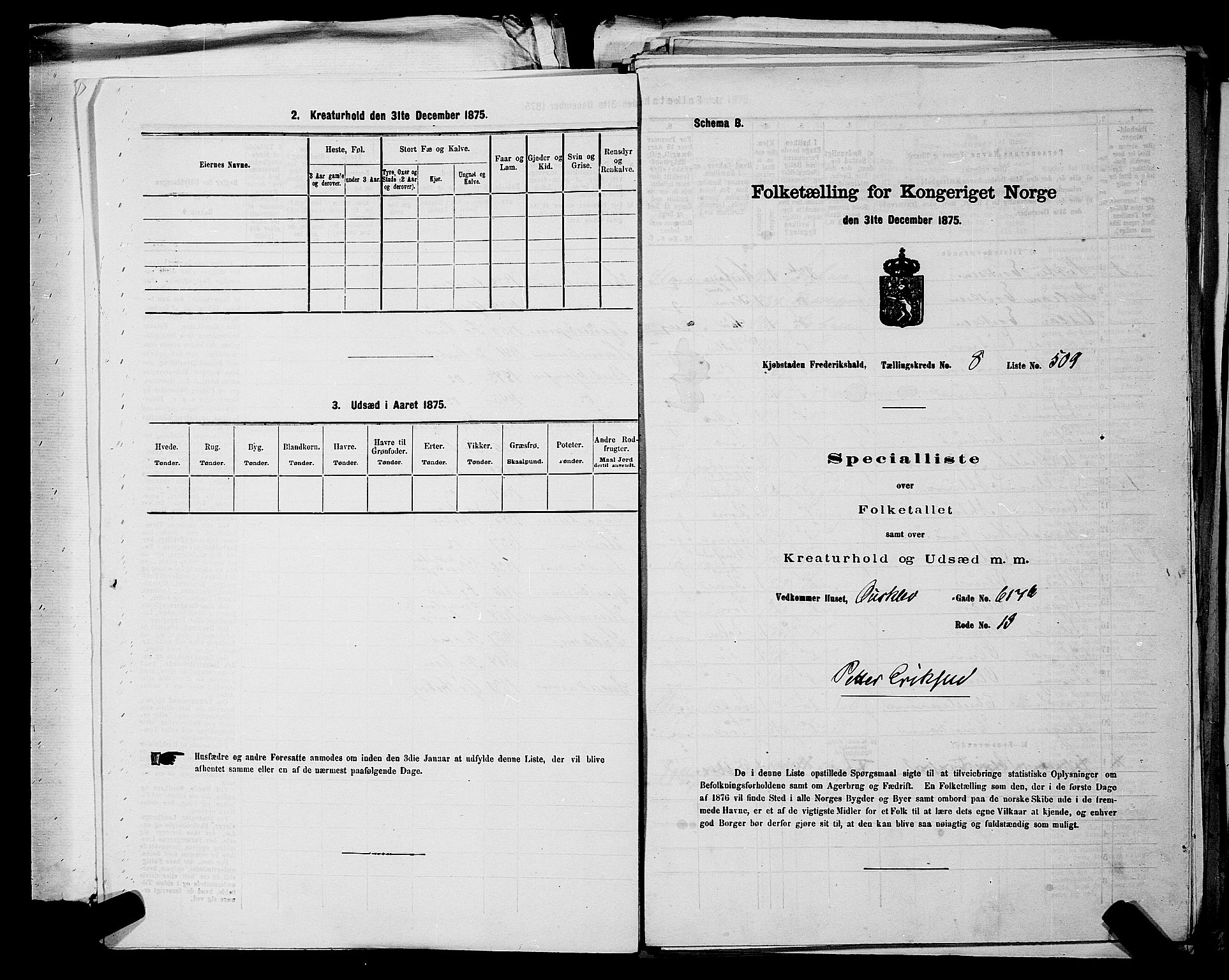 RA, 1875 census for 0101P Fredrikshald, 1875, p. 1129