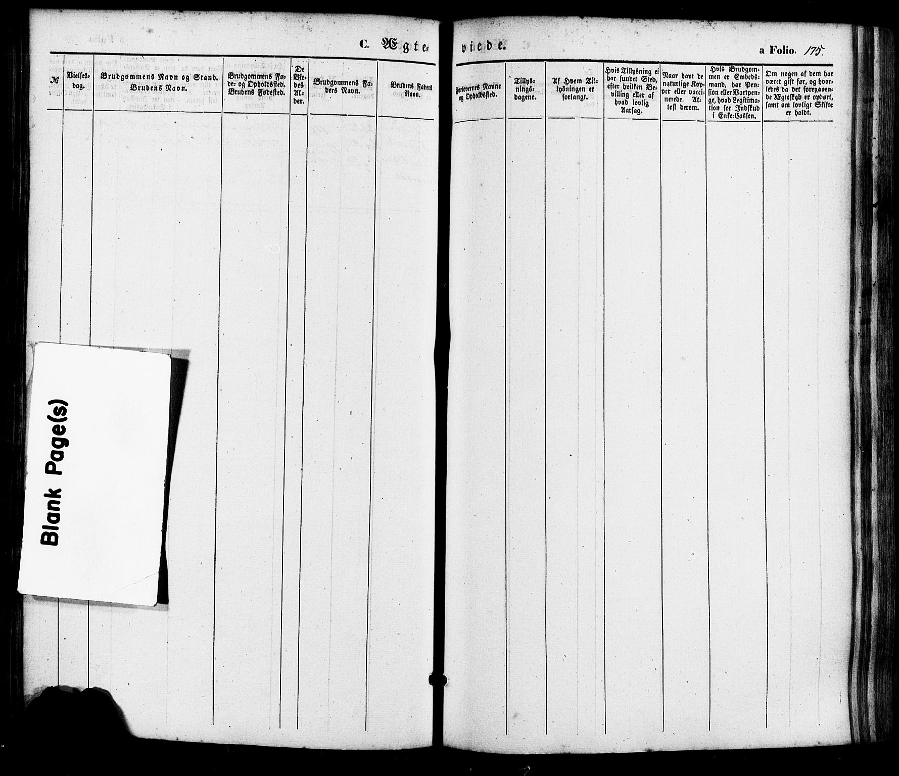 Søgne sokneprestkontor, AV/SAK-1111-0037/F/Fa/Faa/L0002: Parish register (official) no. A 2, 1854-1882, p. 175