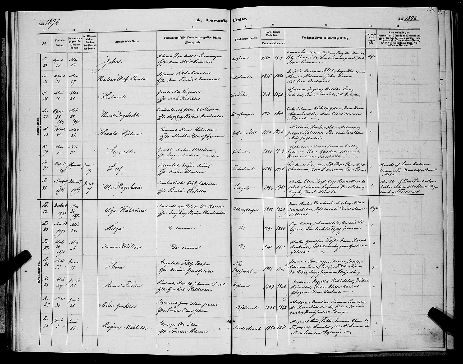 Holt sokneprestkontor, AV/SAK-1111-0021/F/Fb/L0010: Parish register (copy) no. B 10, 1883-1896, p. 136