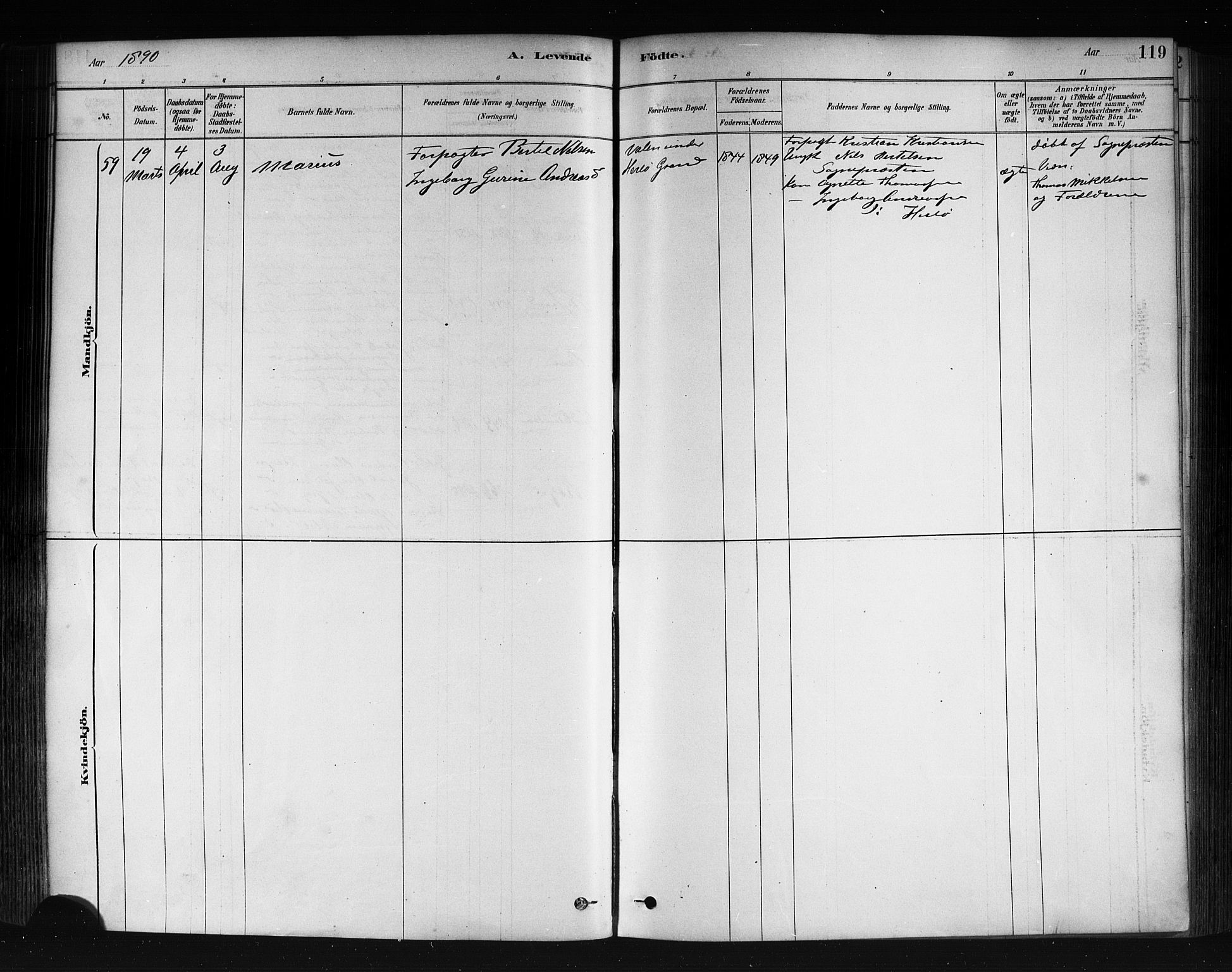 Herdla Sokneprestembete, SAB/A-75701/H/Haa: Parish register (official) no. A 3, 1878-1890, p. 119