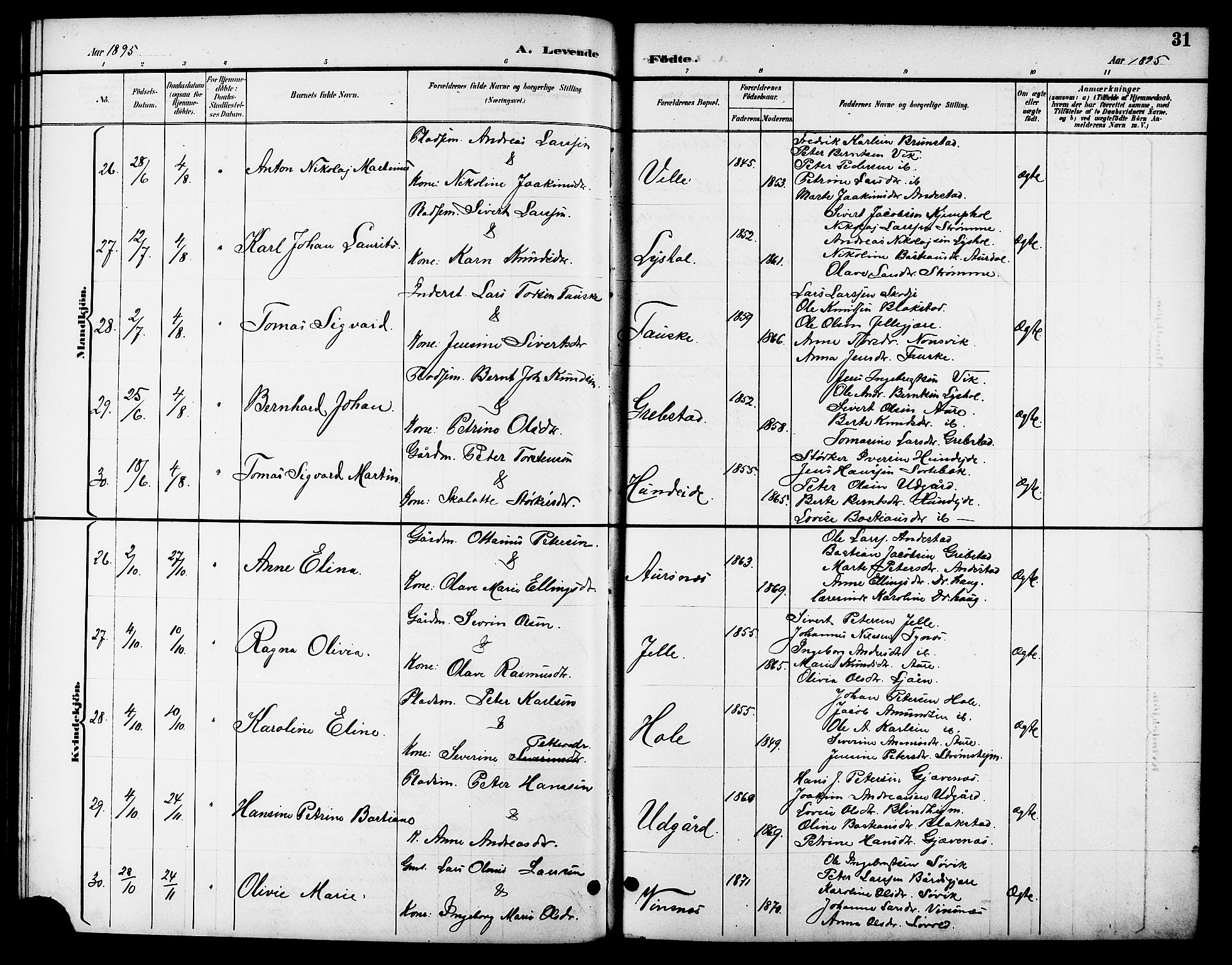 Ministerialprotokoller, klokkerbøker og fødselsregistre - Møre og Romsdal, AV/SAT-A-1454/523/L0340: Parish register (copy) no. 523C03, 1892-1902, p. 31