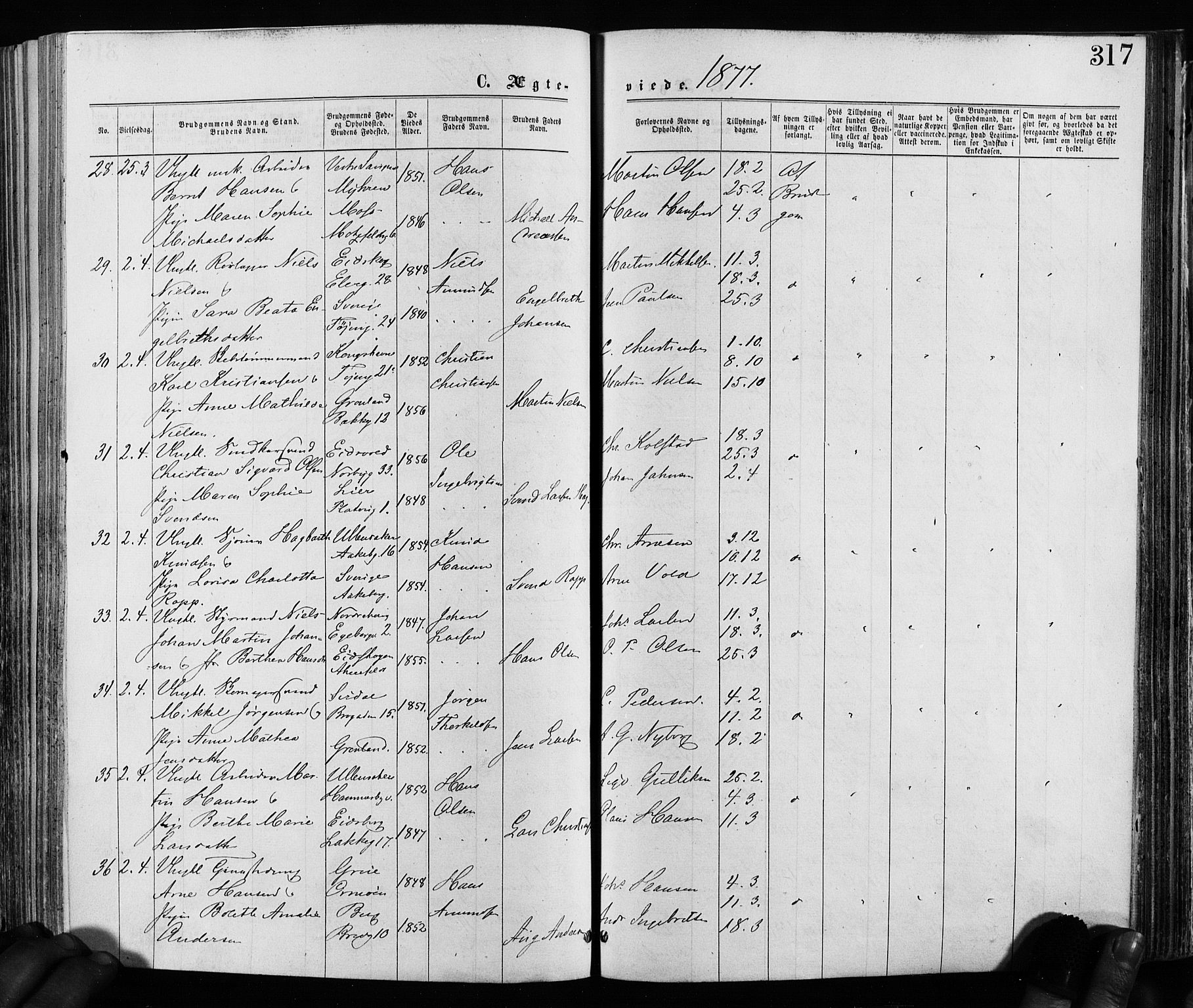 Grønland prestekontor Kirkebøker, AV/SAO-A-10848/F/Fa/L0005: Parish register (official) no. 5, 1869-1880, p. 317